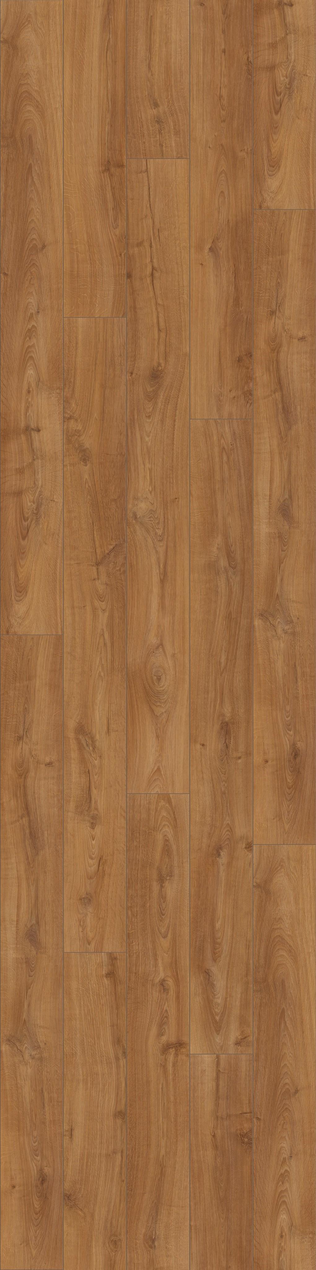 DĄB KRÓLEWSKI, DESKA (L0123-03360) 2400mm x 450mm