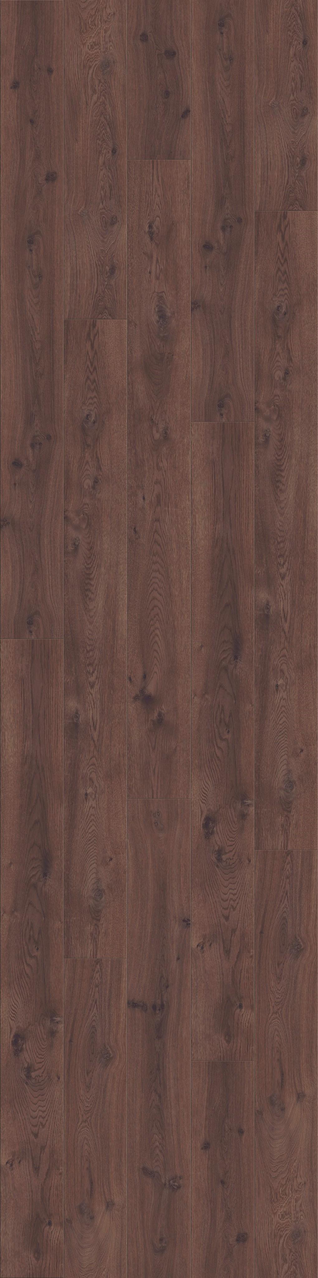 DĄB CZEKOLADOWY, DESKA (L0123-01754) 4100mm x 1025mm