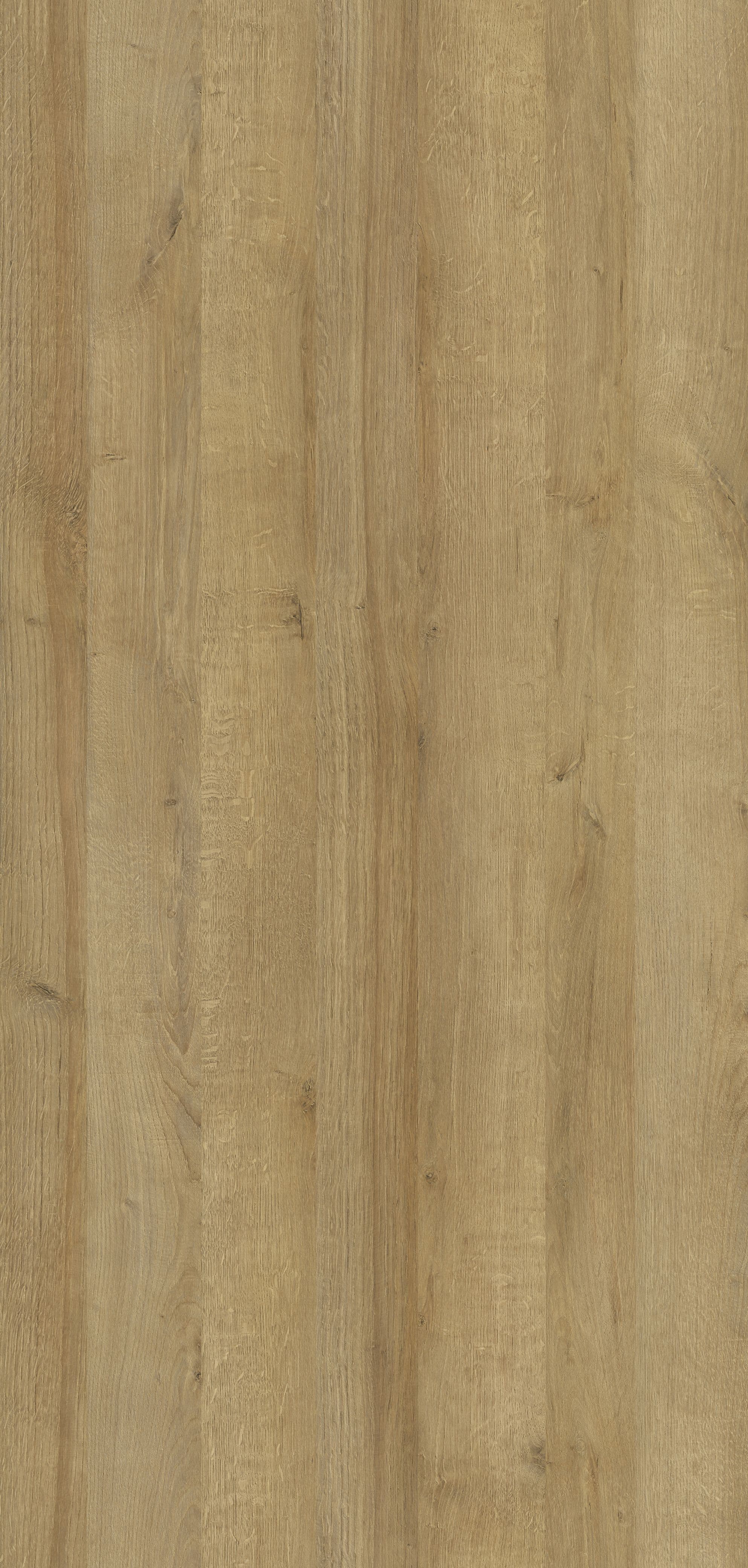 Pfleiderer - Basic Collection - R22239 - Dąb Riva