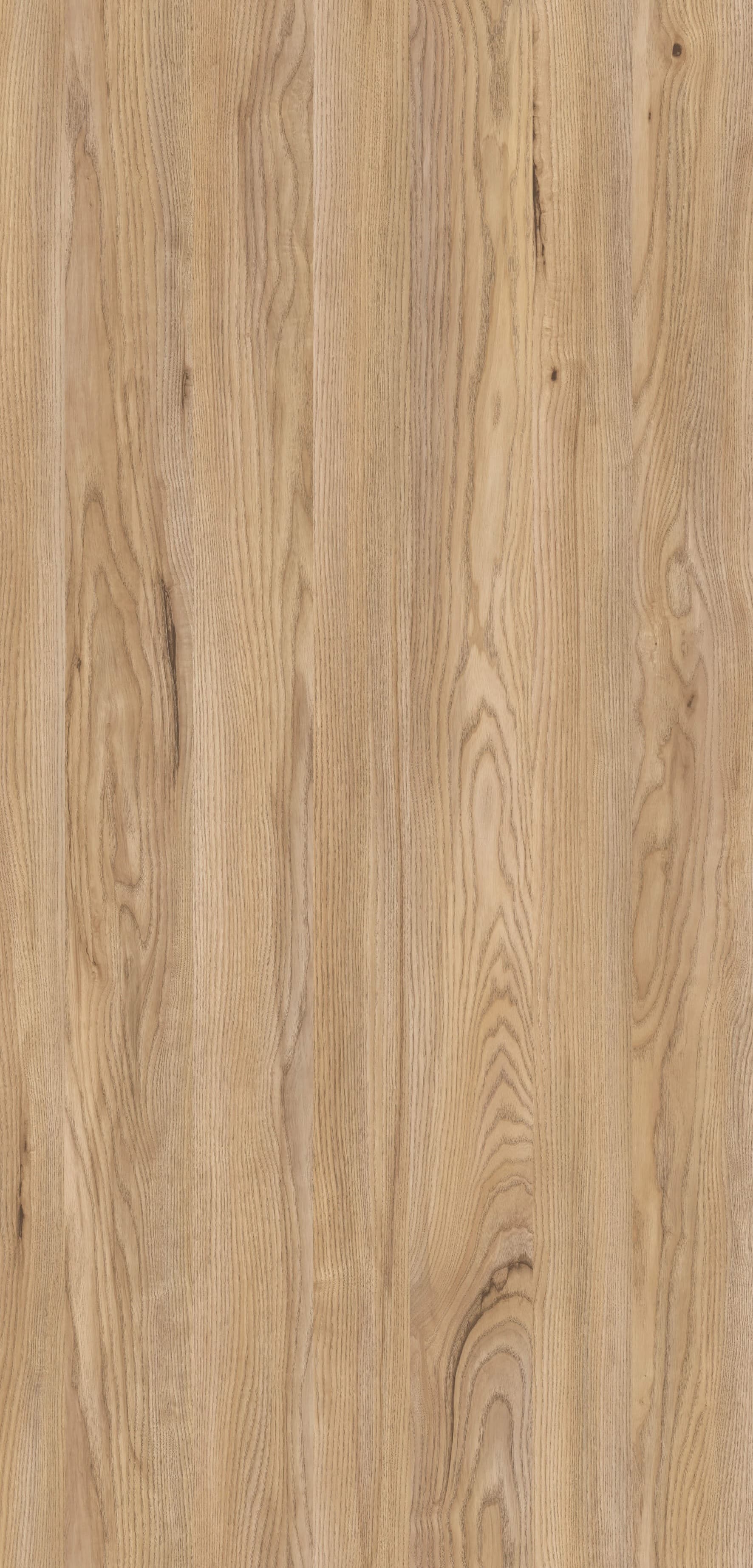 Pfleiderer - Basic Collection - R34033 - Jesion Górski