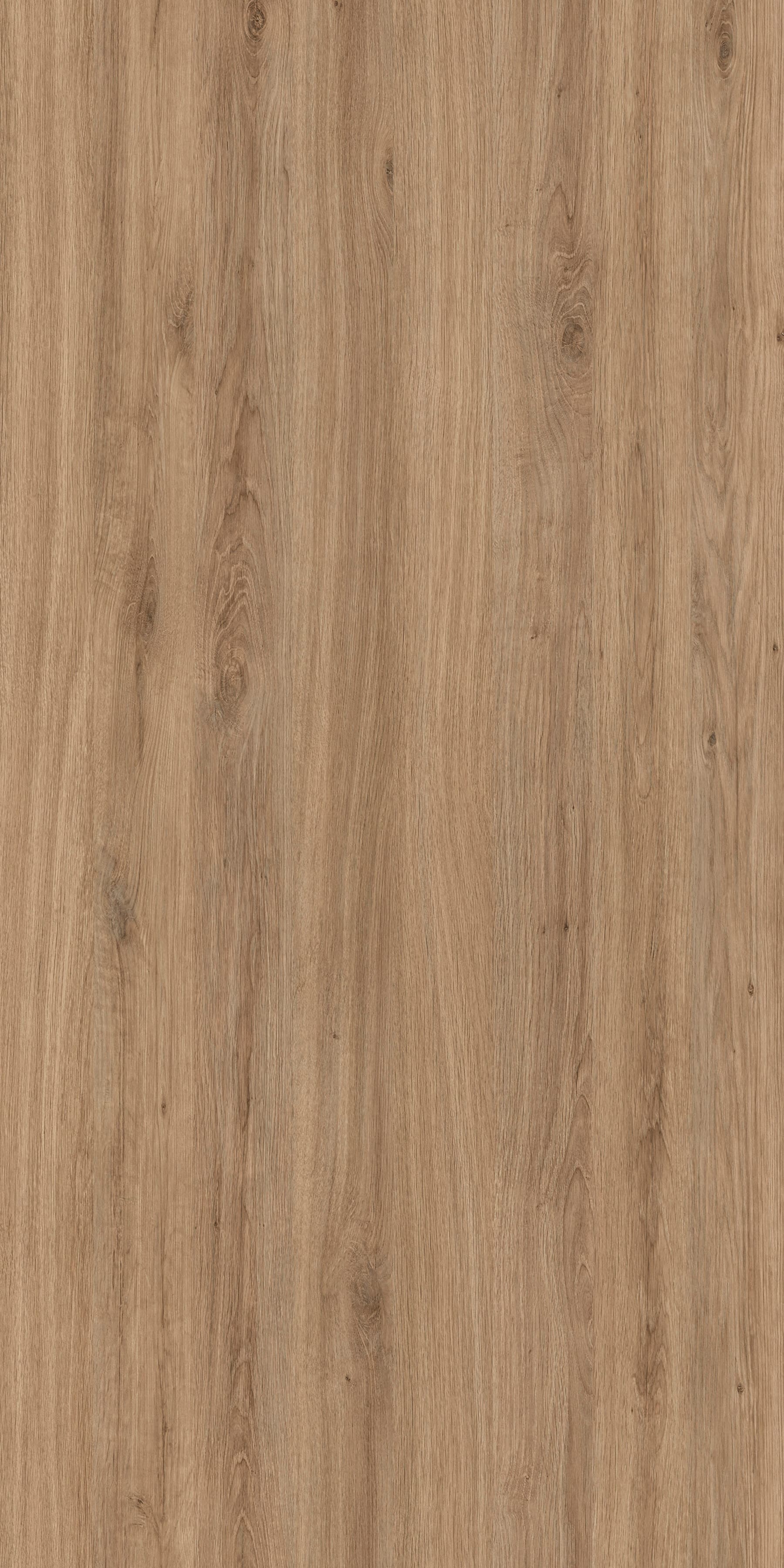 Pfleiderer - Basic Collection - R20038 - Dąb Dziki