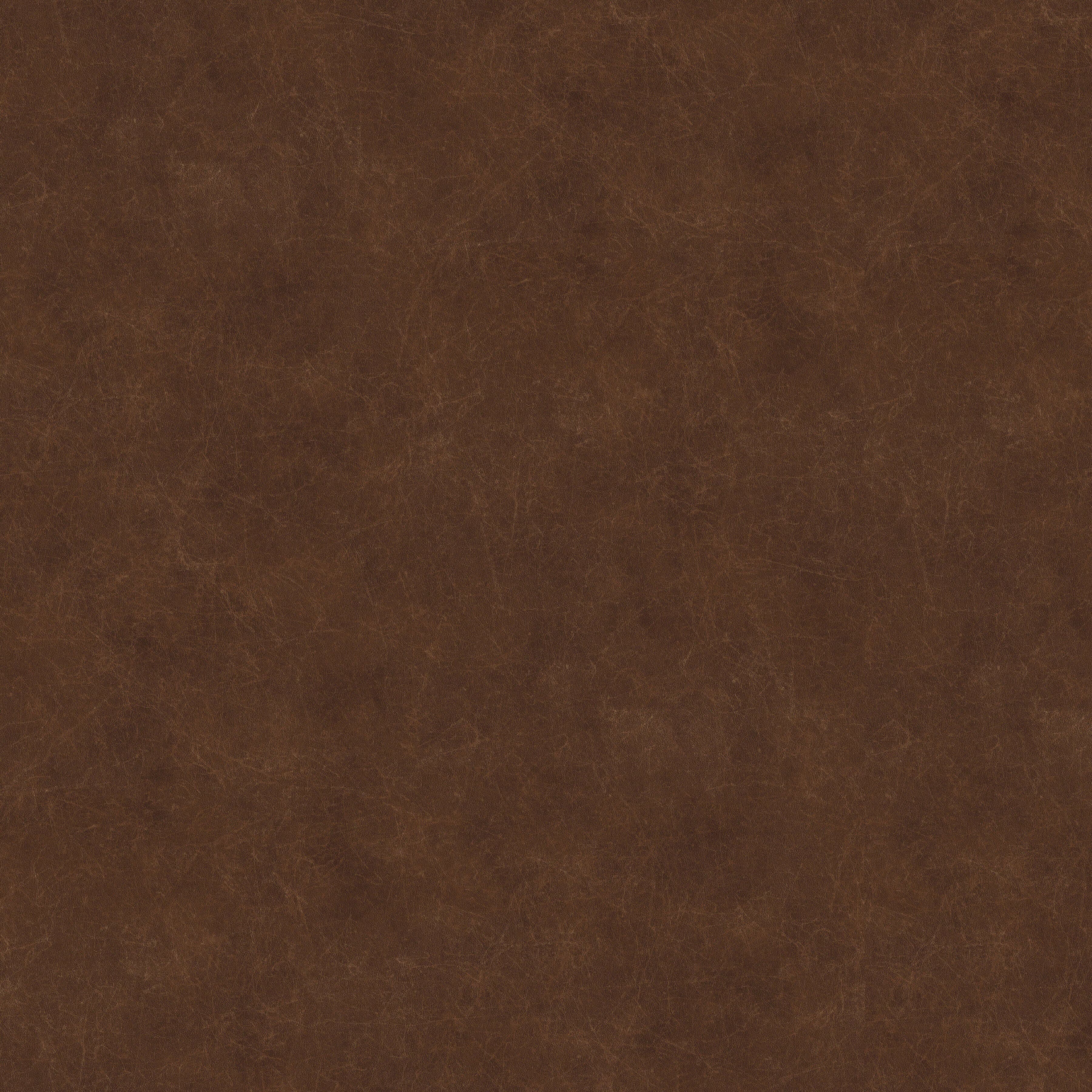 Pfleiderer - Basic Collection - F76084 - Buffalo