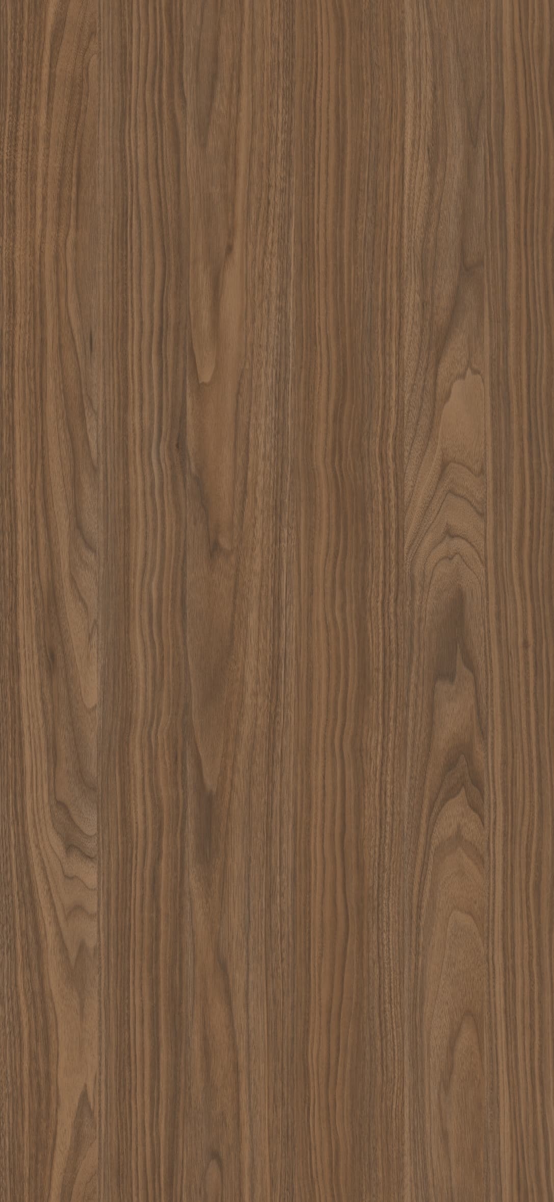 Pfleiderer - Basic Collection - R30148 - Orzech Wisconsin