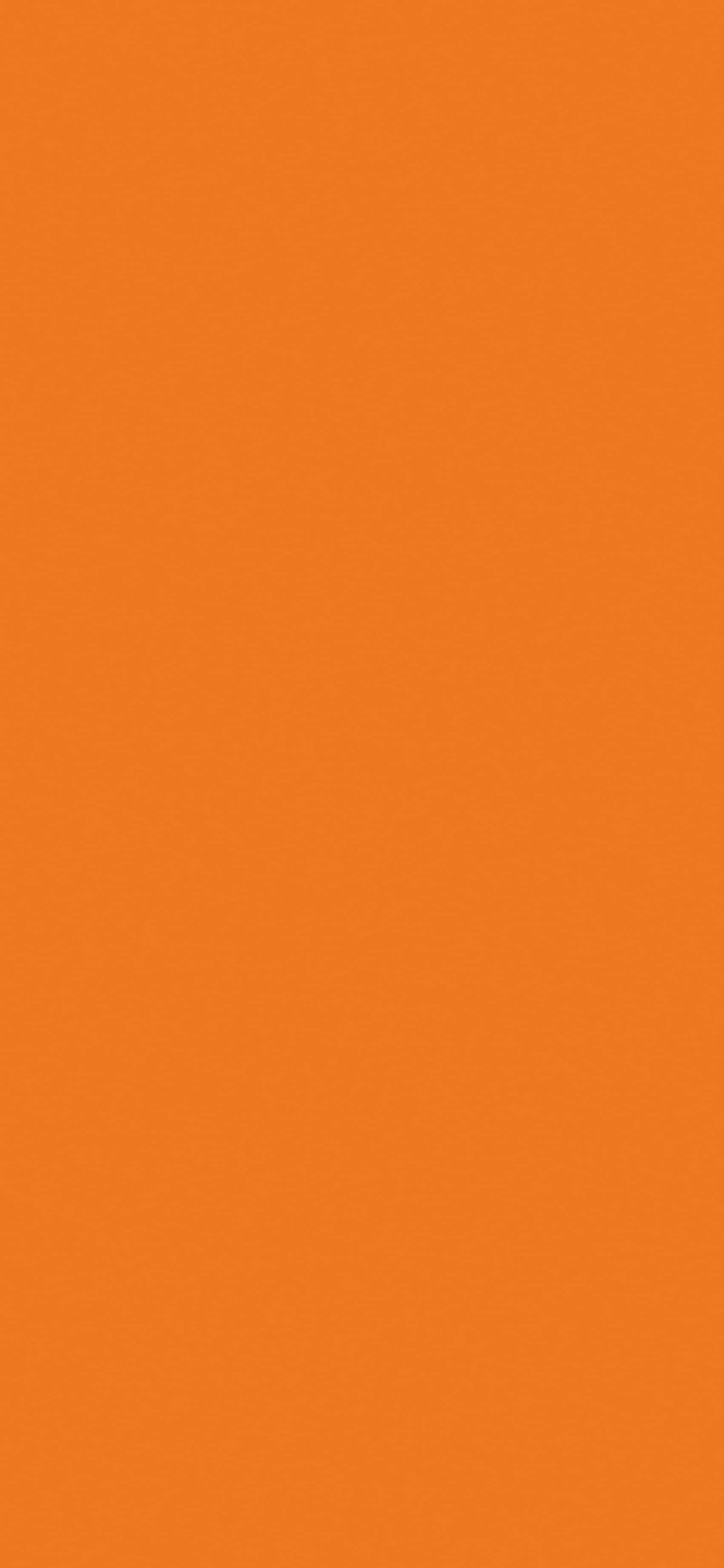 Pfleiderer - Basic Collection - U16010 - Orange