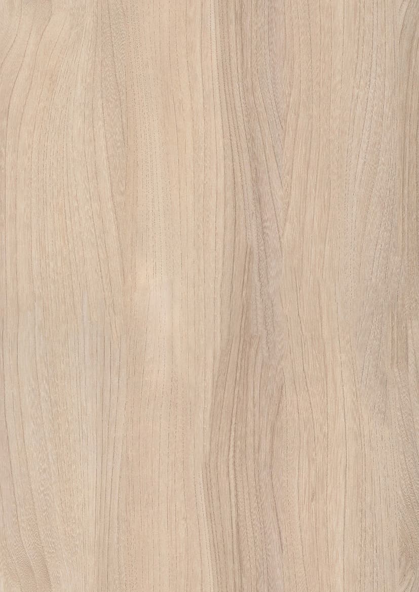 Pfleiderer - Basic Collection - R37001 - Wiąz Baron