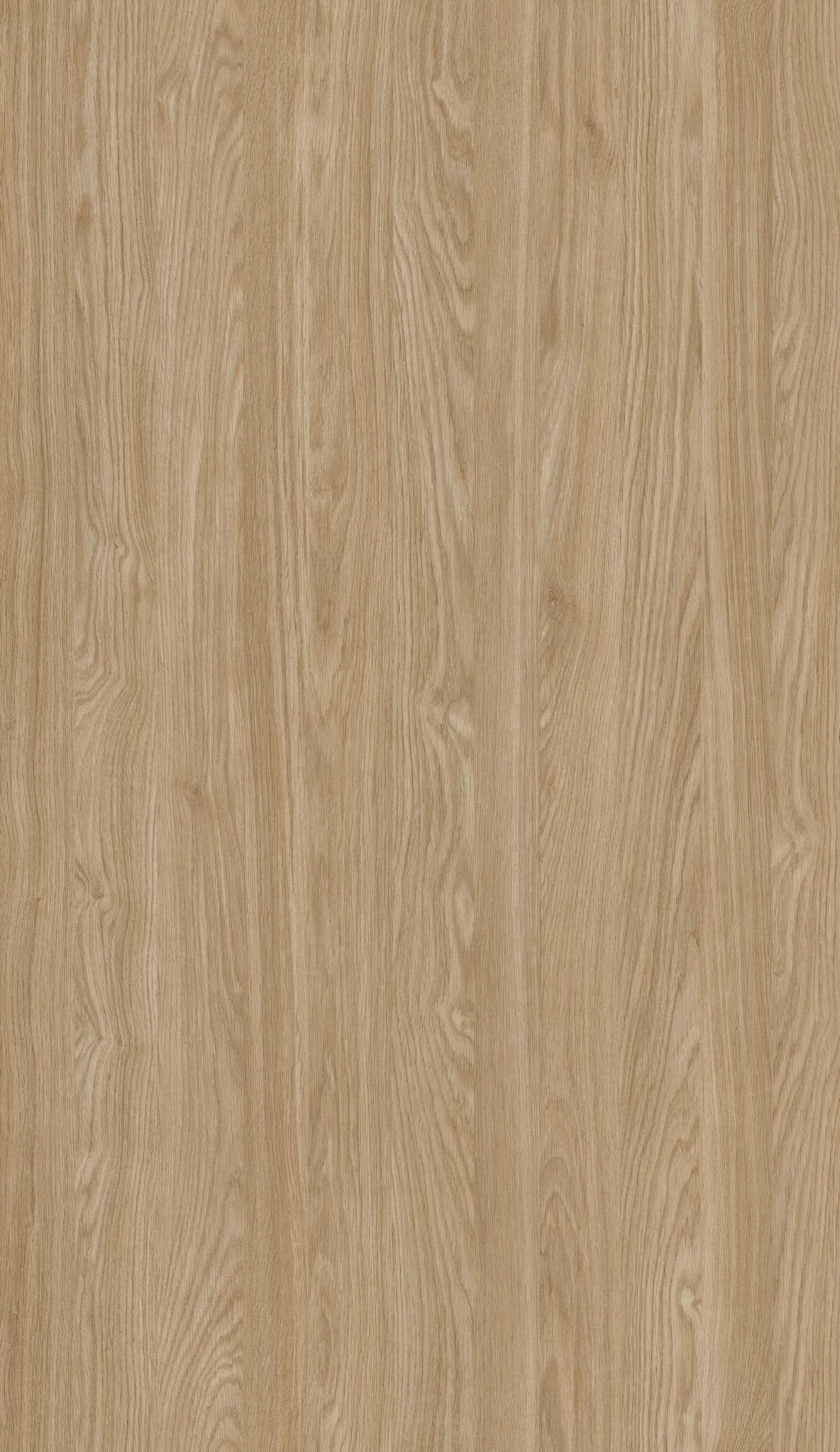 Pfleiderer - Basic Collection - R20348 - Dąb Olejowany