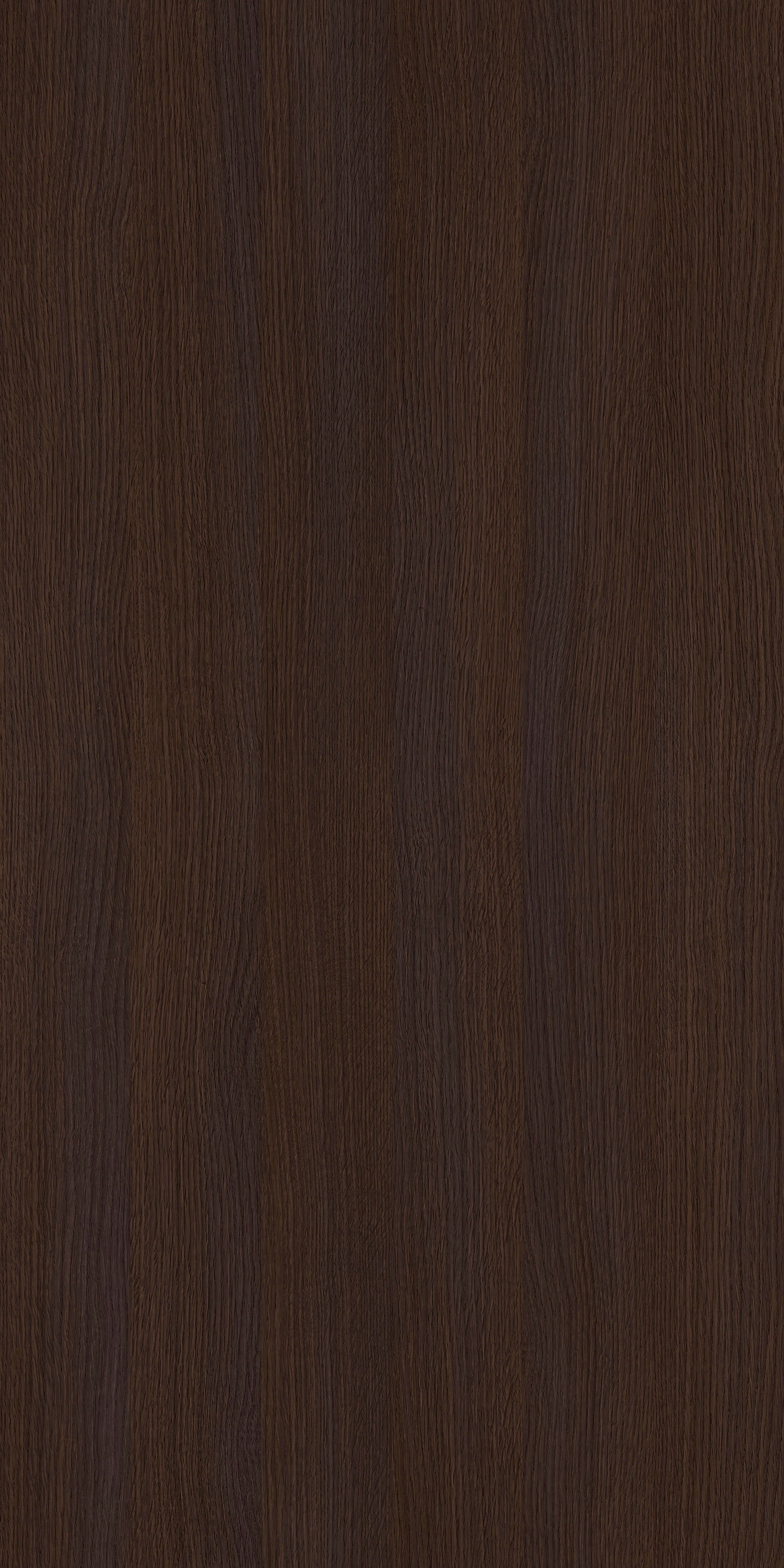 Pfleiderer - Basic Collection - R20033 - Dąb Ciemny