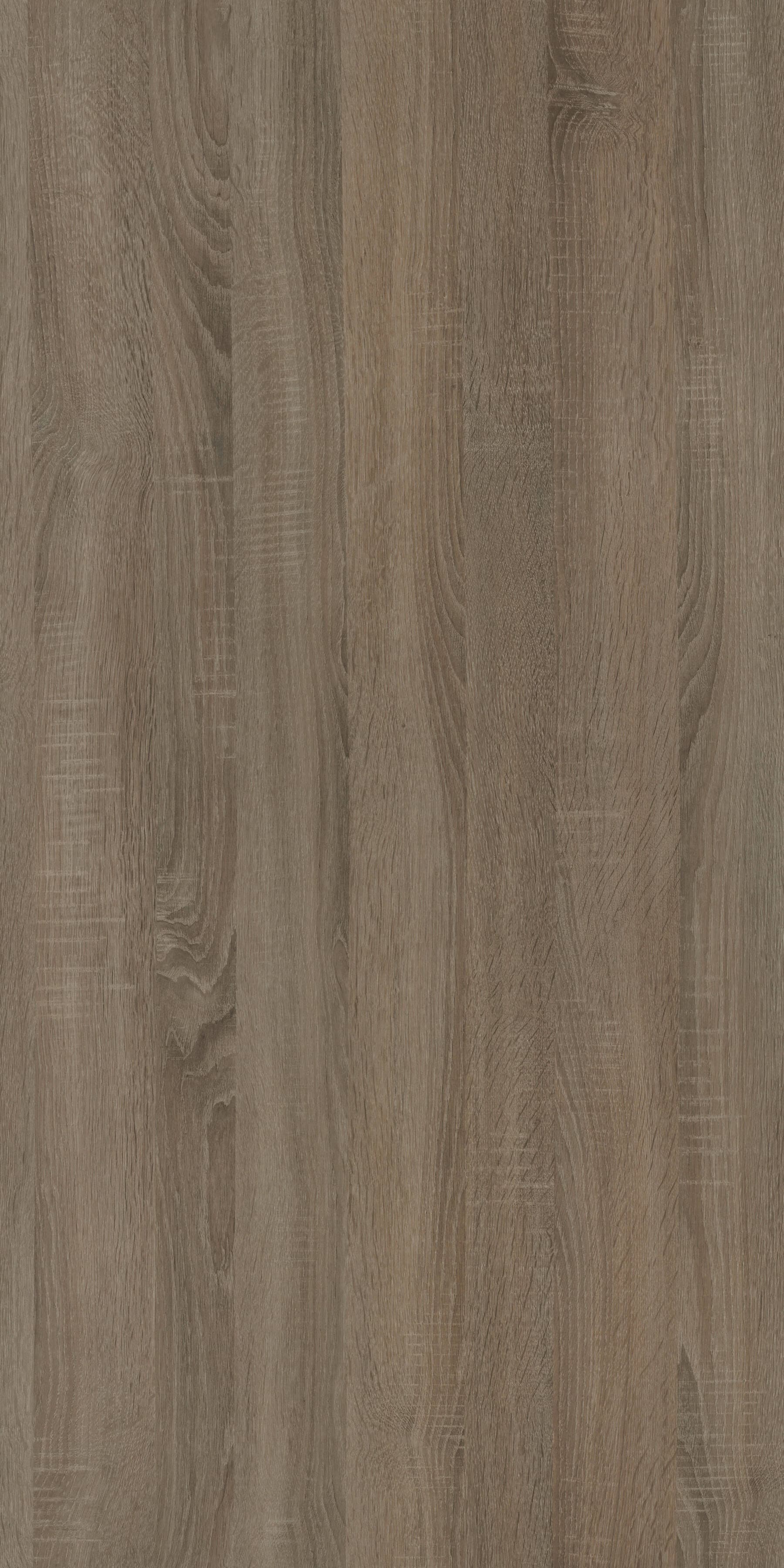 Pfleiderer - Basic Collection - R20031 - Dąb Sonoma Trufel