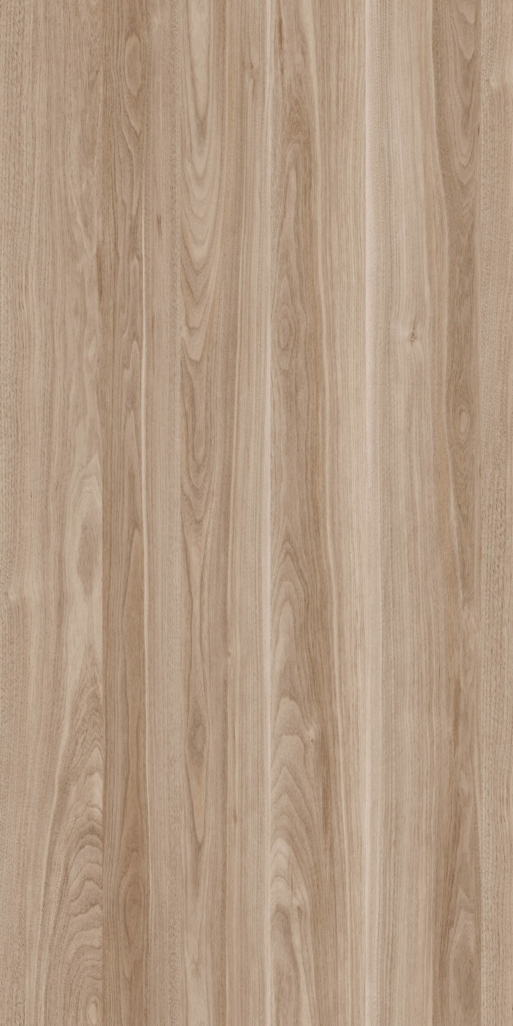 Pfleiderer - Basic Collection - R30039 - Orzech California