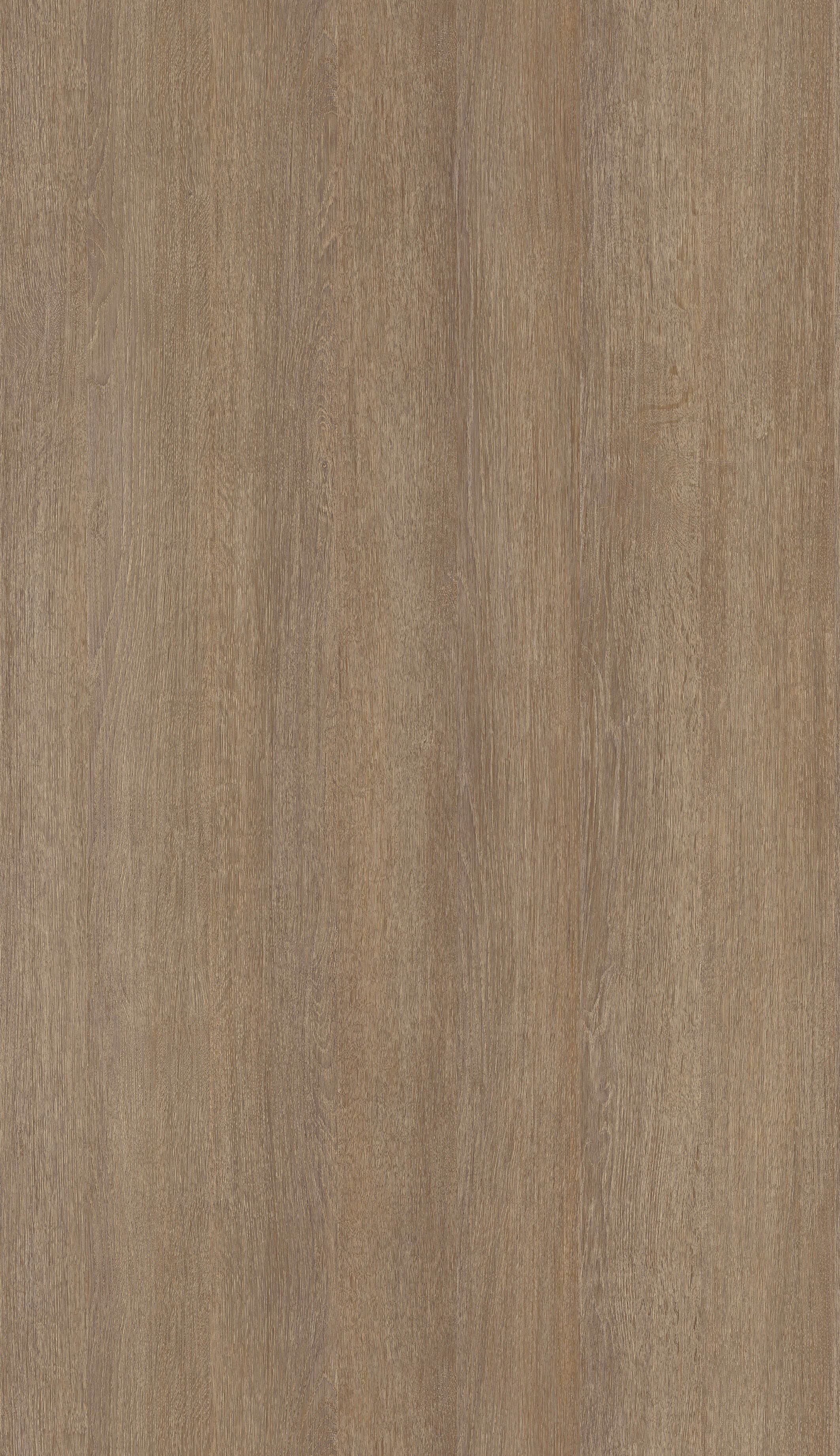 Pfleiderer - Basic Collection - R20286 - Dąb Włoski