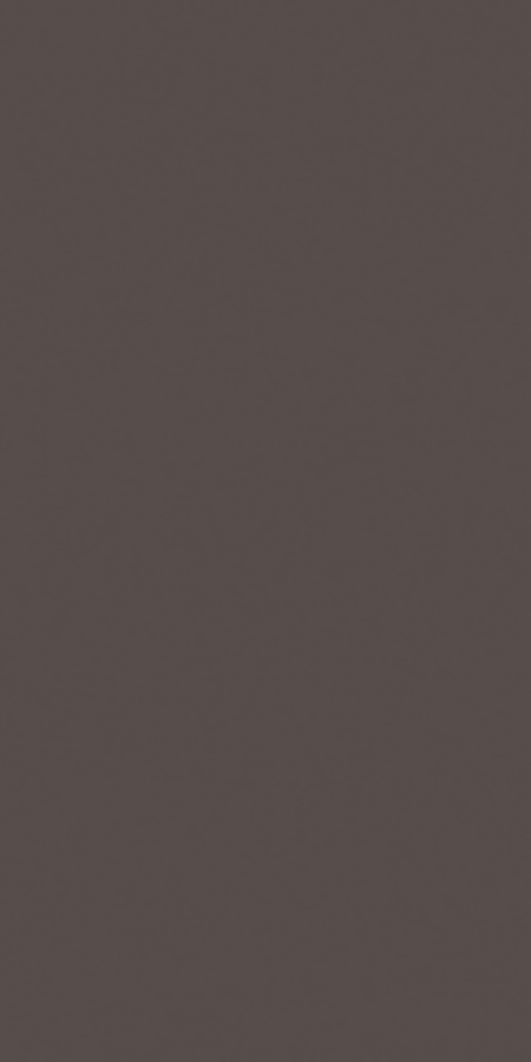 Pfleiderer - Basic Collection - U12092 - Szary Zonda