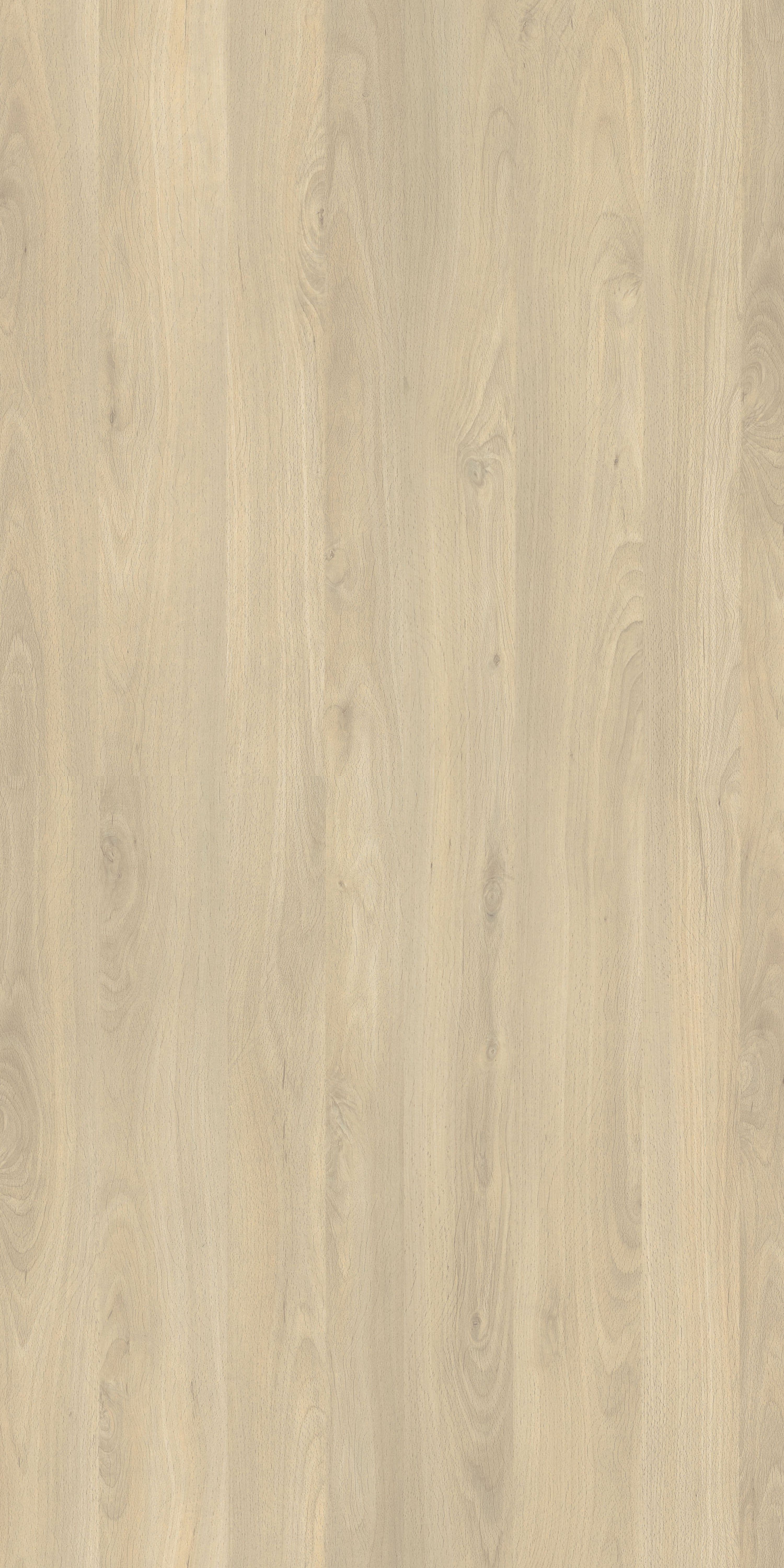 Pfleiderer - Basic Collection - R24029 - Buk Fiord Jasny