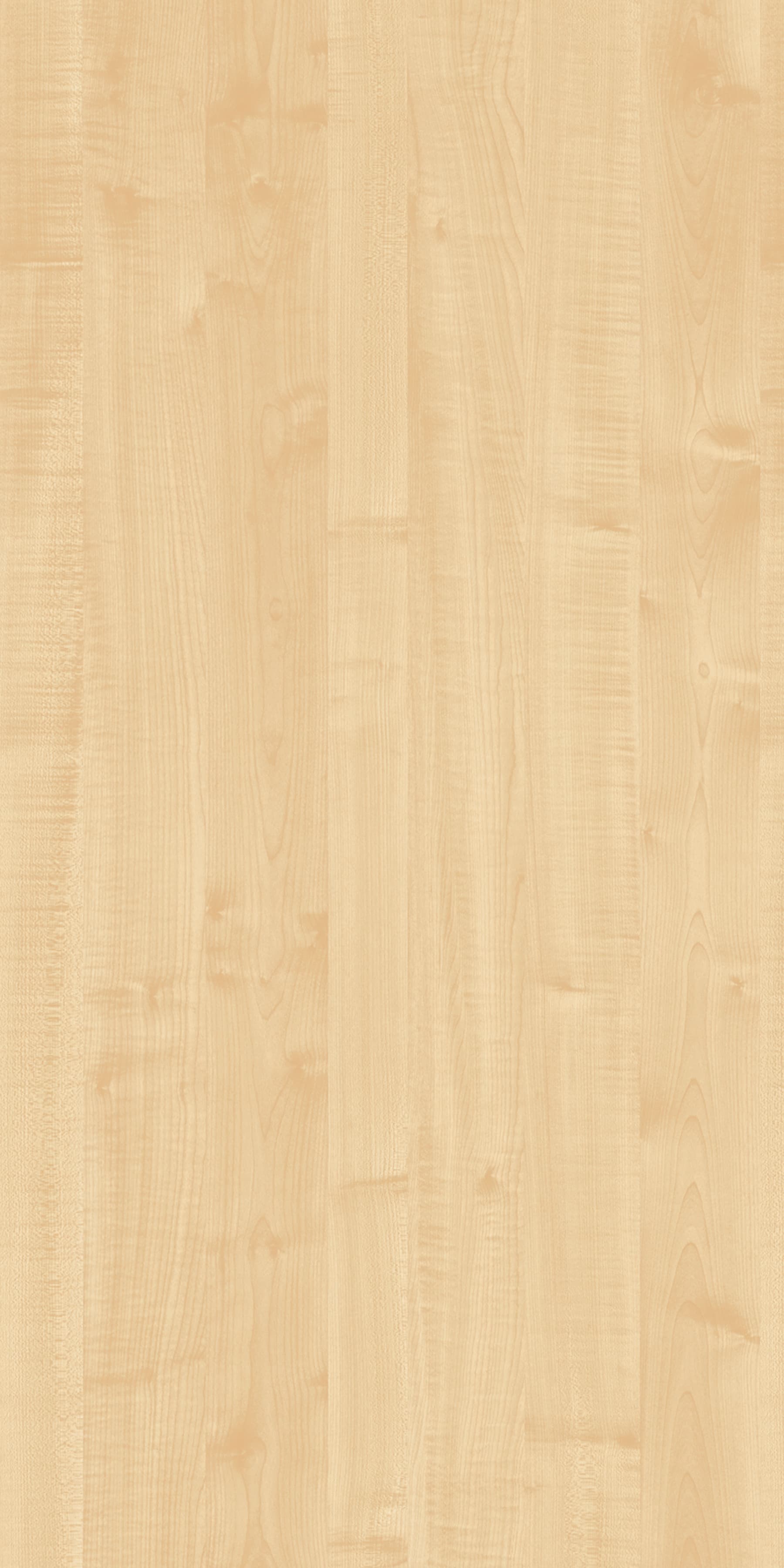 Pfleiderer - Basic Collection - R27001 - Klon Królewski