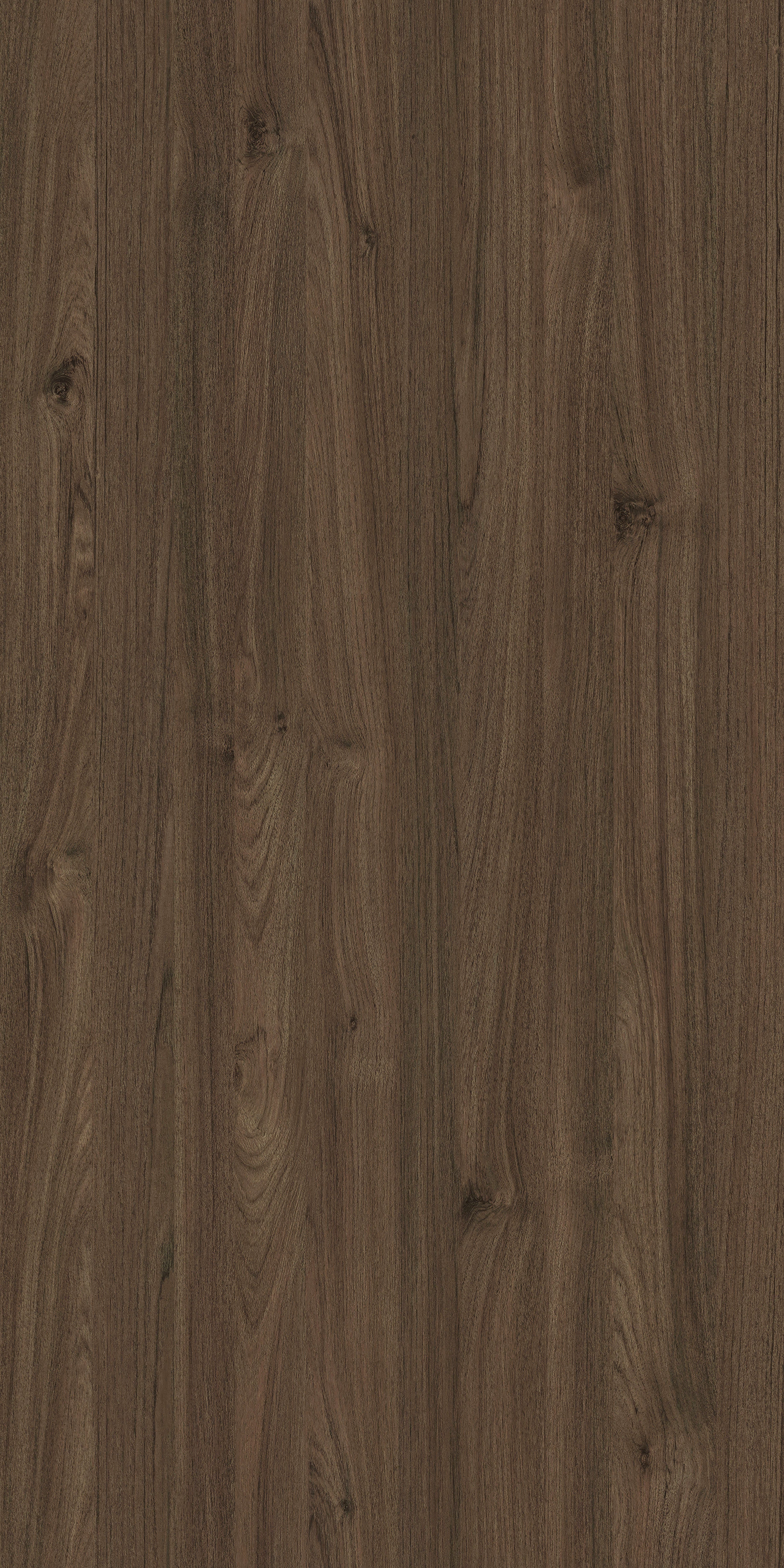 Pfleiderer - Basic Collection - R50088 - Teak Malezyjski