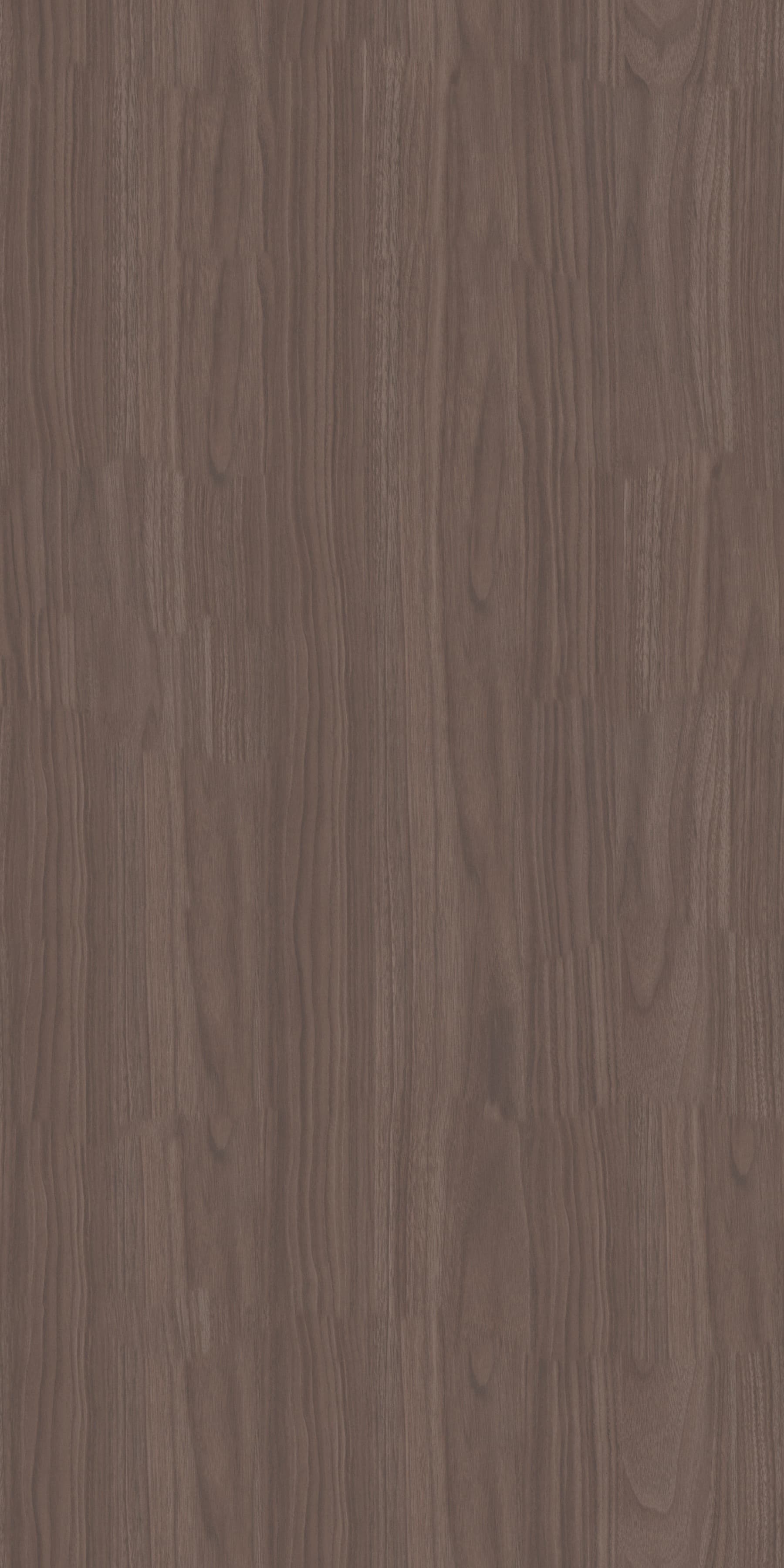 Pfleiderer - Basic Collection - R30061 - Orzech