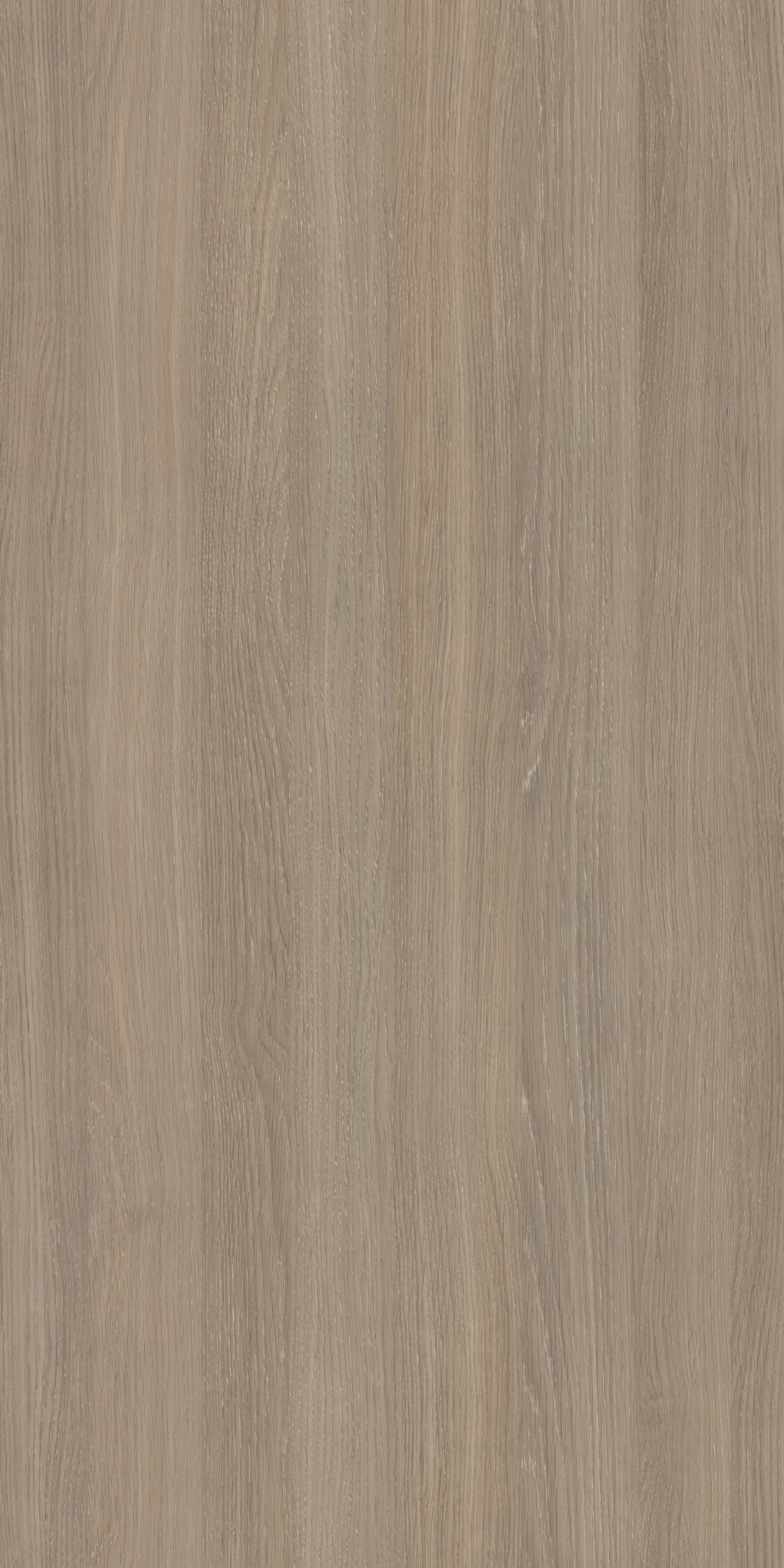 Pfleiderer - Basic Collection - R20064 - Dąb Górski Szary