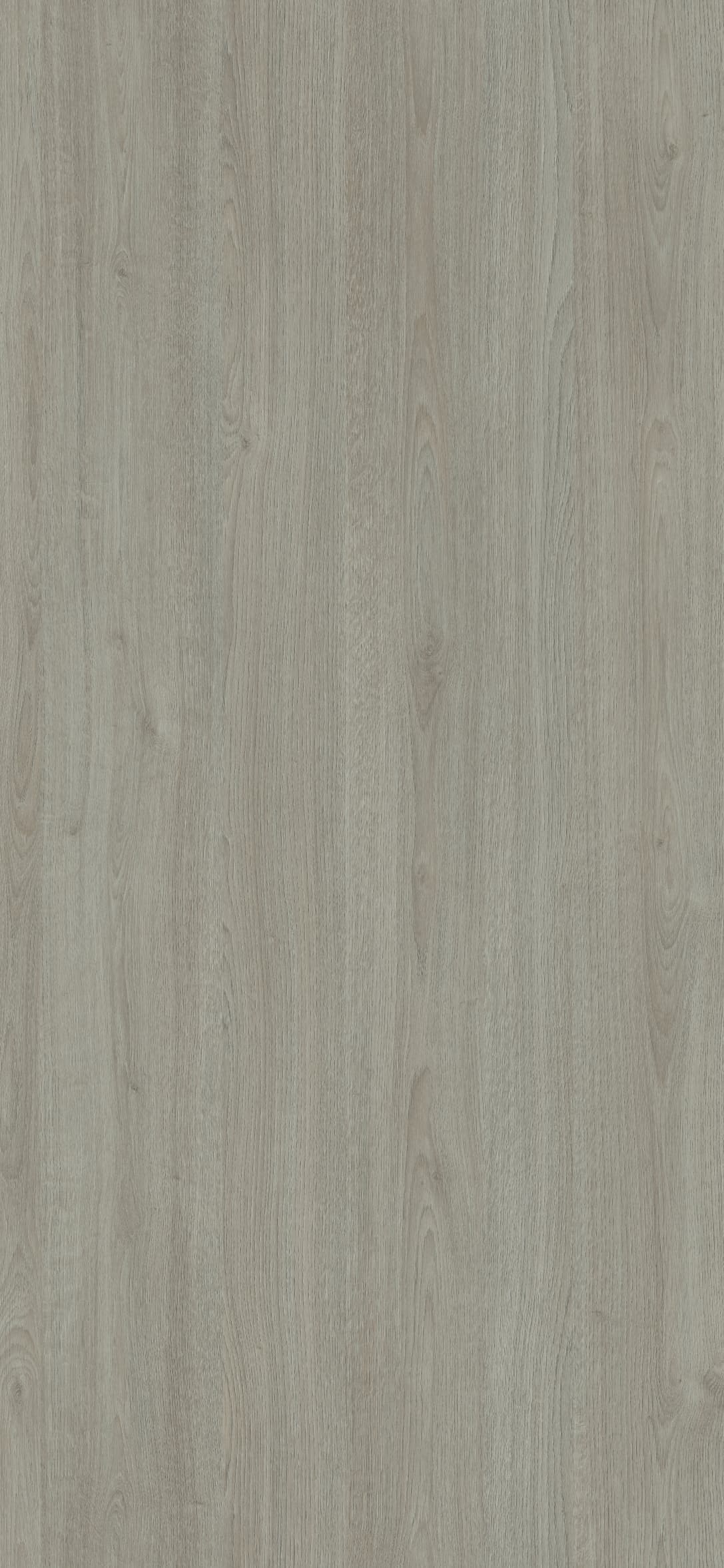 Pfleiderer - Basic Collection - R20372 - Dąb Retro