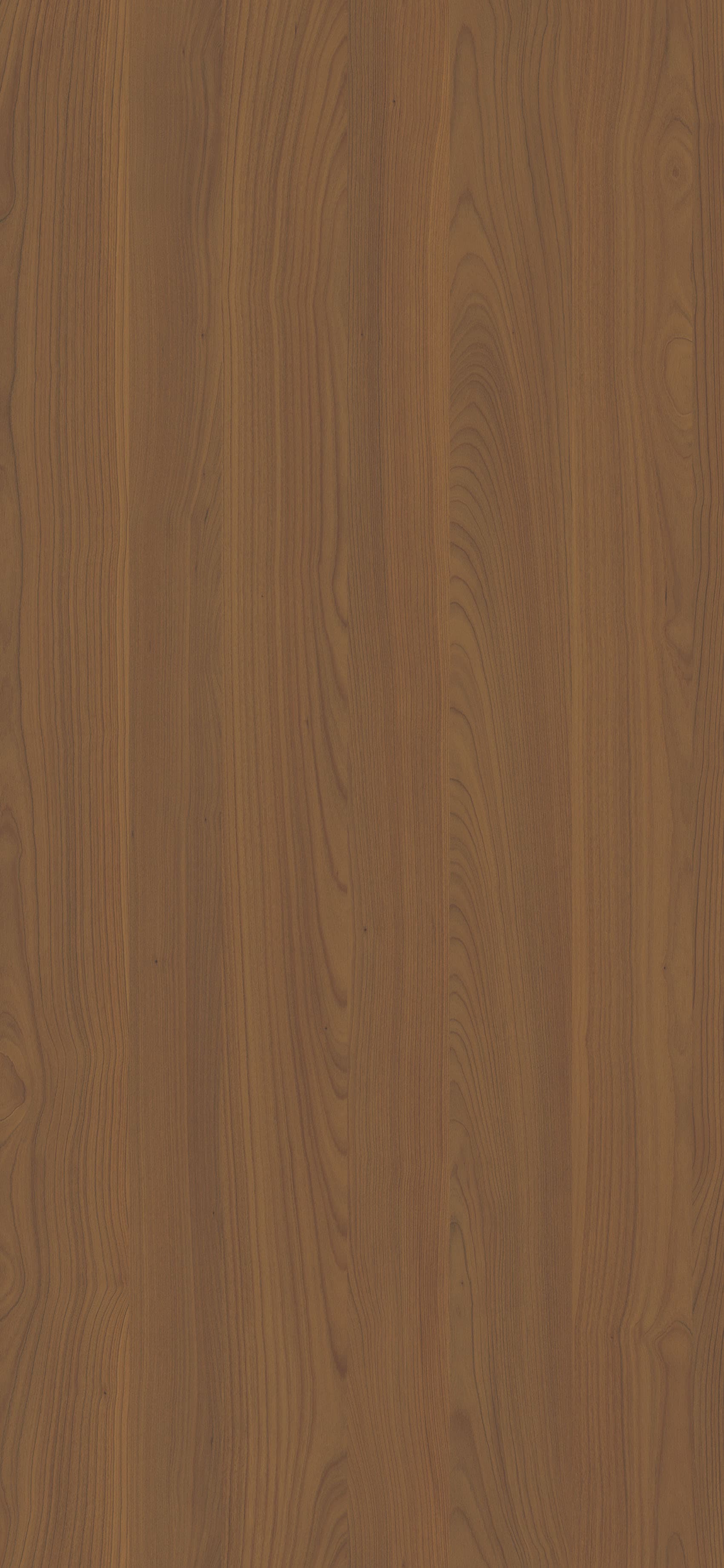 Pfleiderer - Kolekcja Blatów - R42055 - Wiśnia Porto