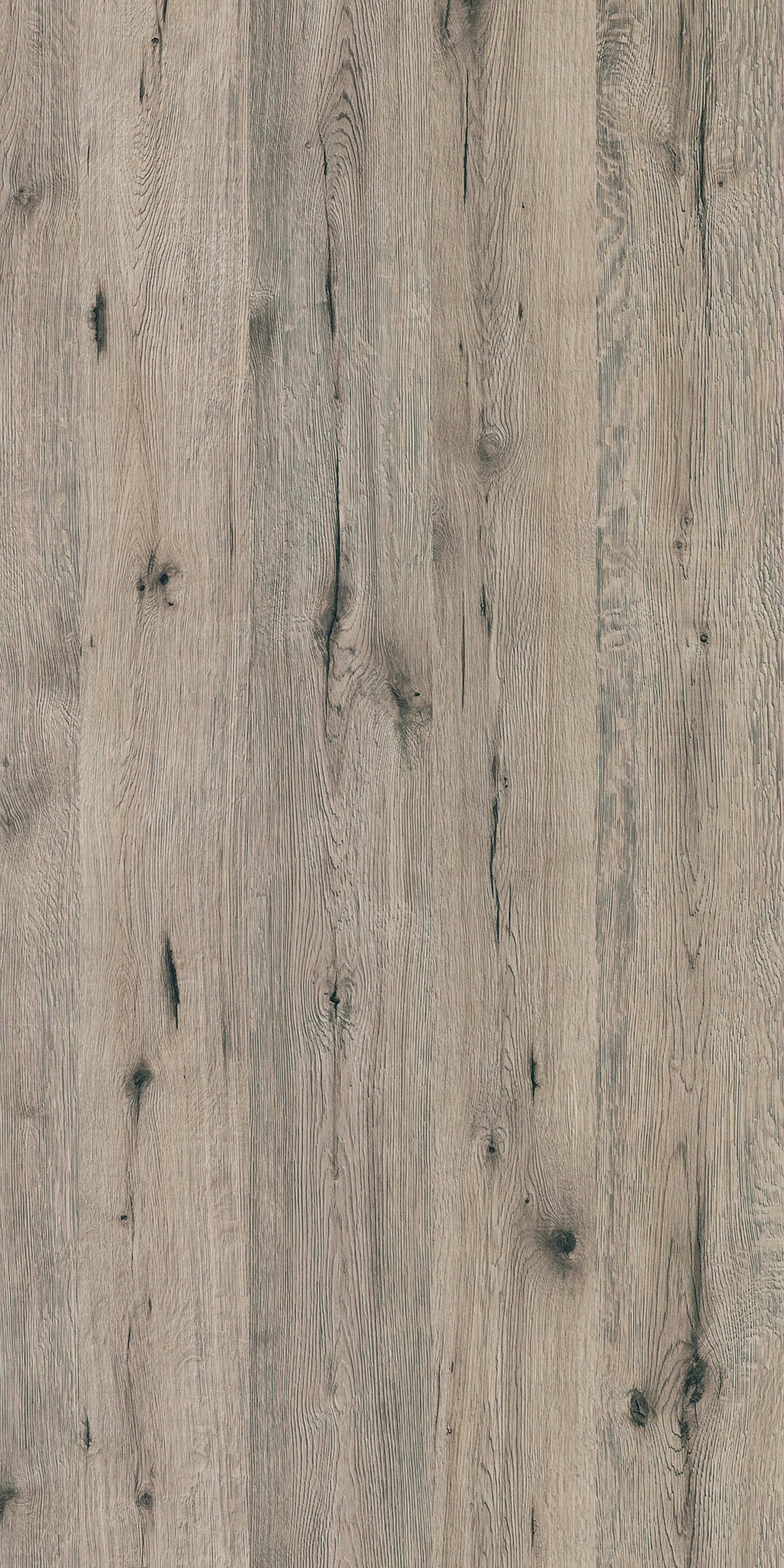 Pfleiderer - Kolekcja dodatkowa - R20154 - Dąb Wellington