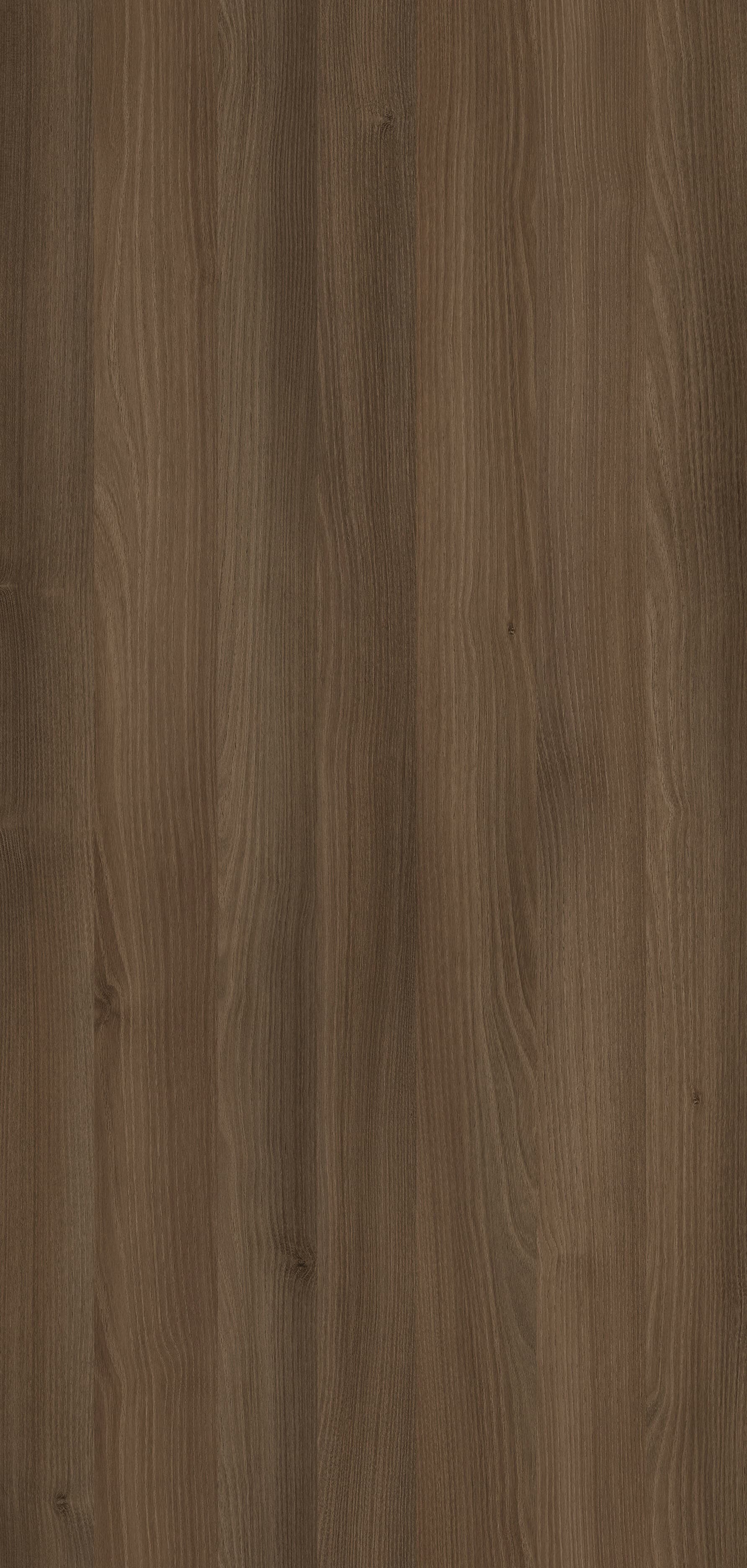 Pfleiderer - Kolekcja dodatkowa - R38004 - Akacja Cynamon