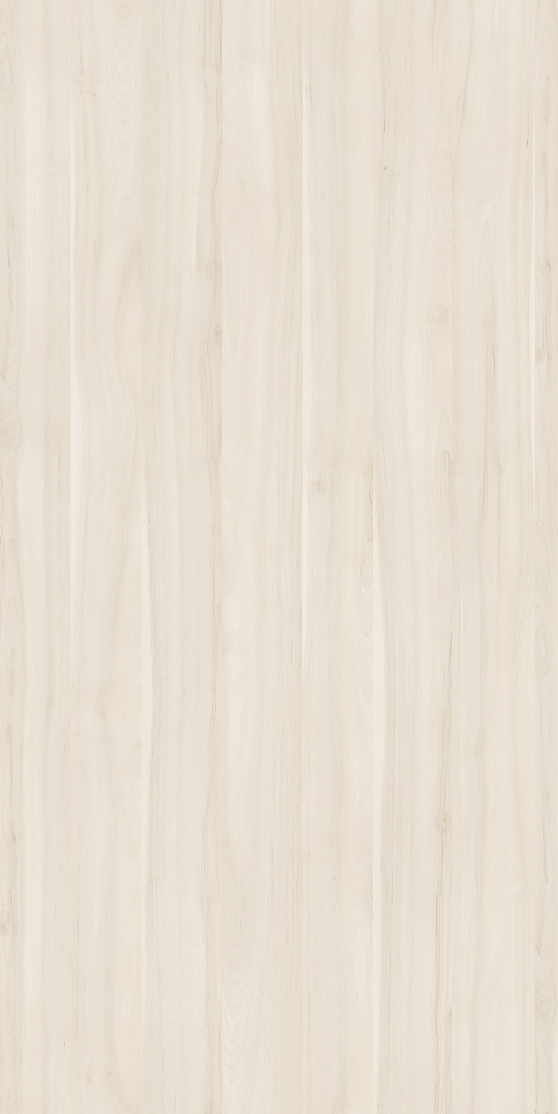 Pfleiderer - Kolekcja dodatkowa - R27034 - Klon Jersey