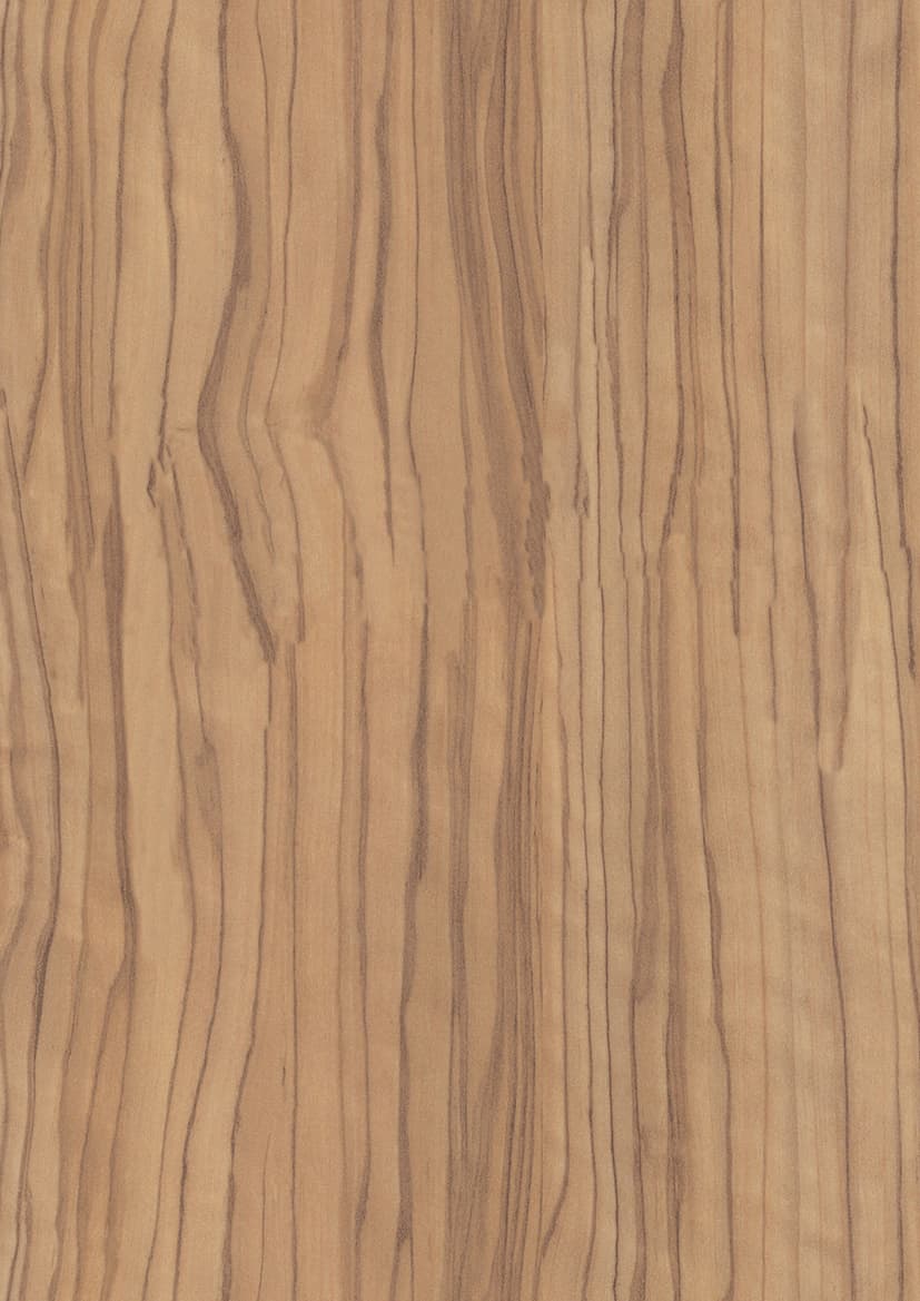 Pfleiderer - Kolekcja dodatkowa - R50030 - Oliwka Espana