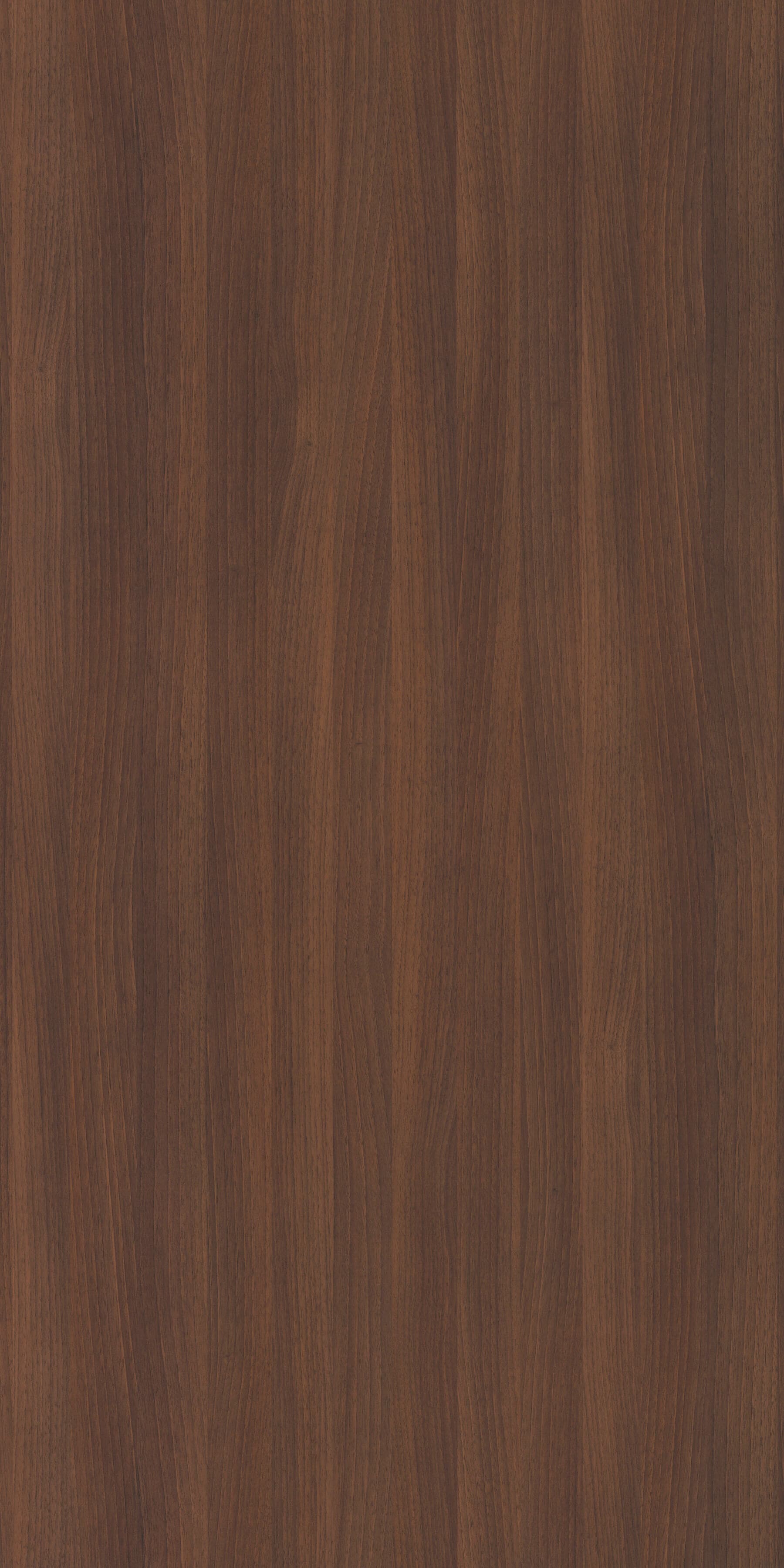 Pfleiderer - Kolekcja dodatkowa - R30019 - Bella Noce Choco