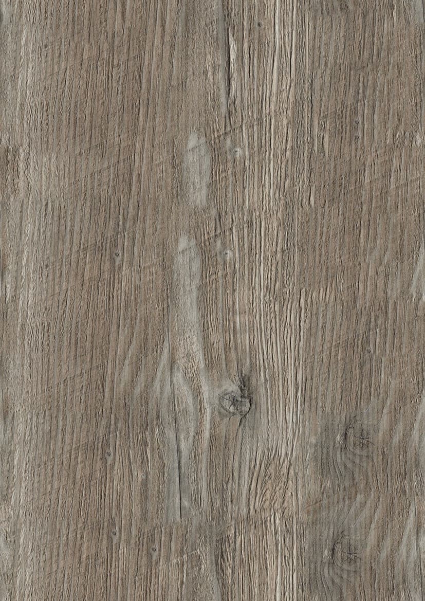 Pfleiderer - Kolekcja dodatkowa - R55004 - Sosna Ponderosa