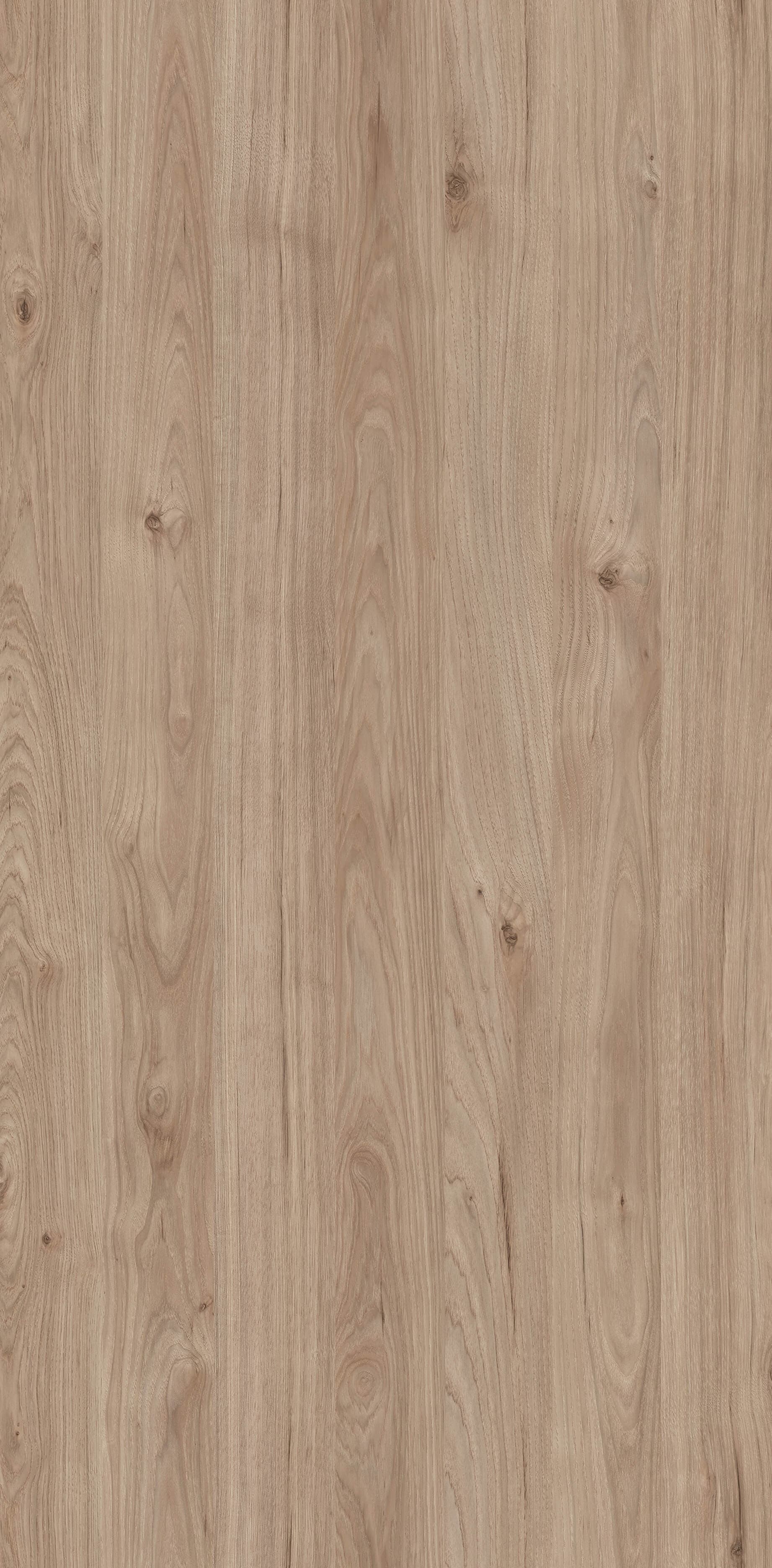 Pfleiderer - Kolekcja dodatkowa - R48041 - Jackson Hickory