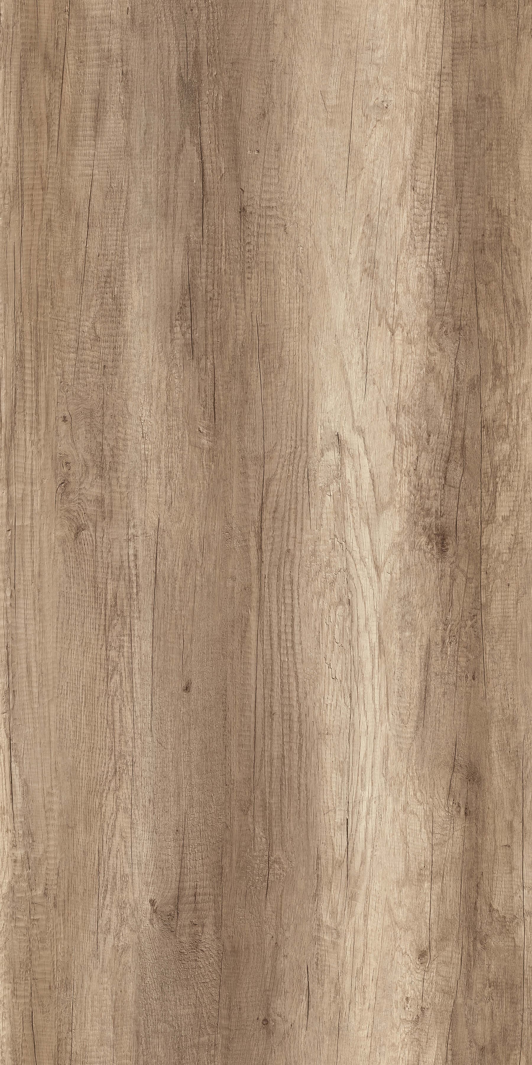 Pfleiderer - Kolekcja dodatkowa - R20113 - Dąb Canyon