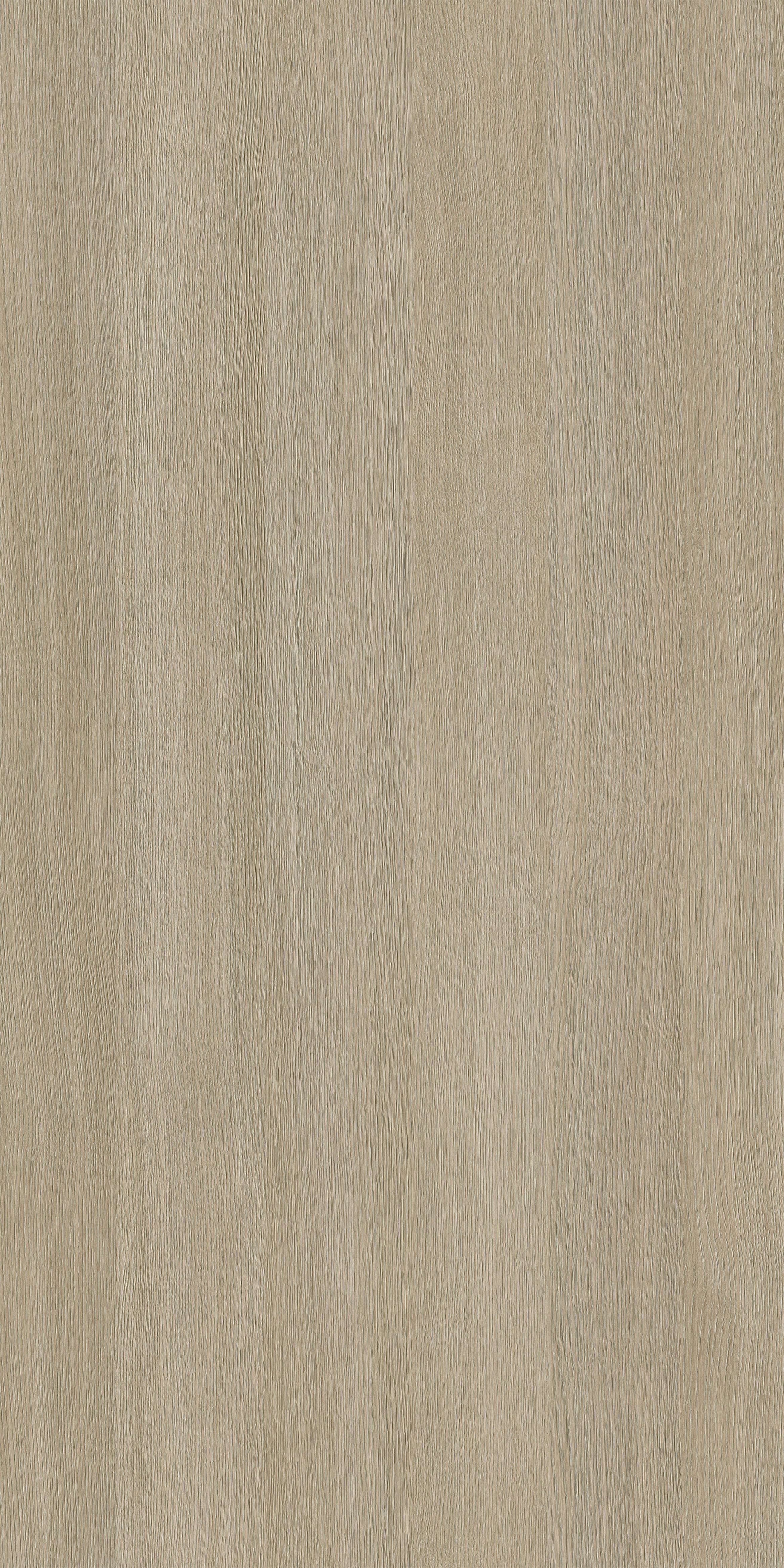 Pfleiderer - Kolekcja dodatkowa - R20169 - Nabucco