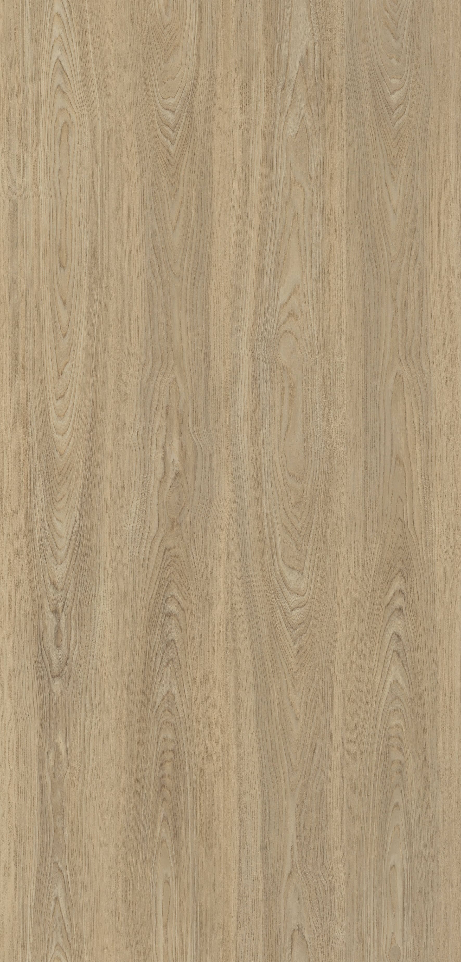 Pfleiderer - Kolekcja dodatkowa - R34021 - Jesion Firenze Jasny