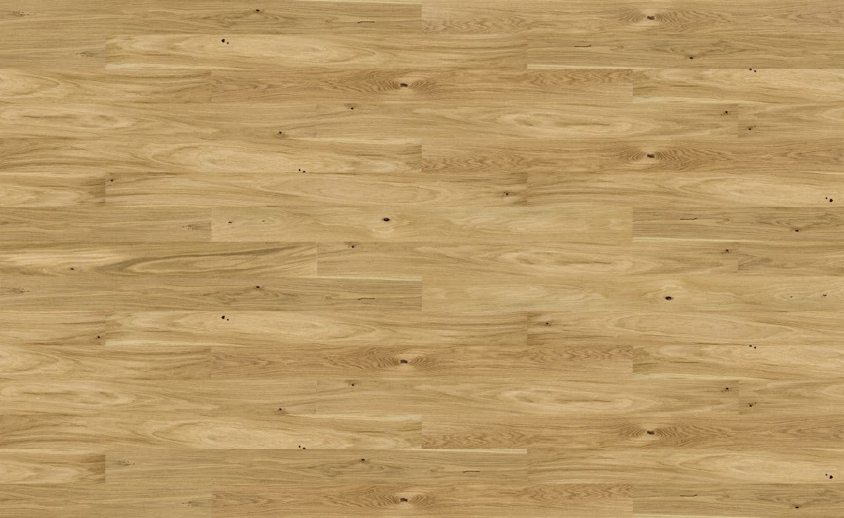 Dąb Askania Grande (4400x2700)