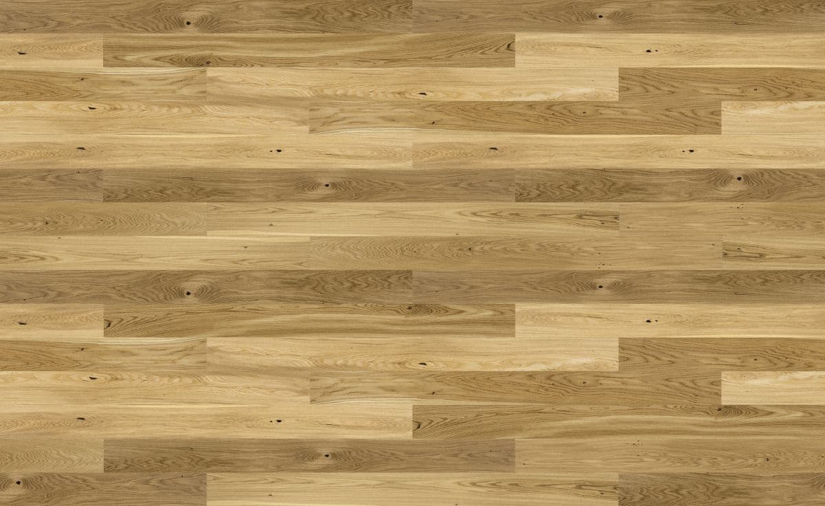 Dąb Caramel Grande (4400x2700)