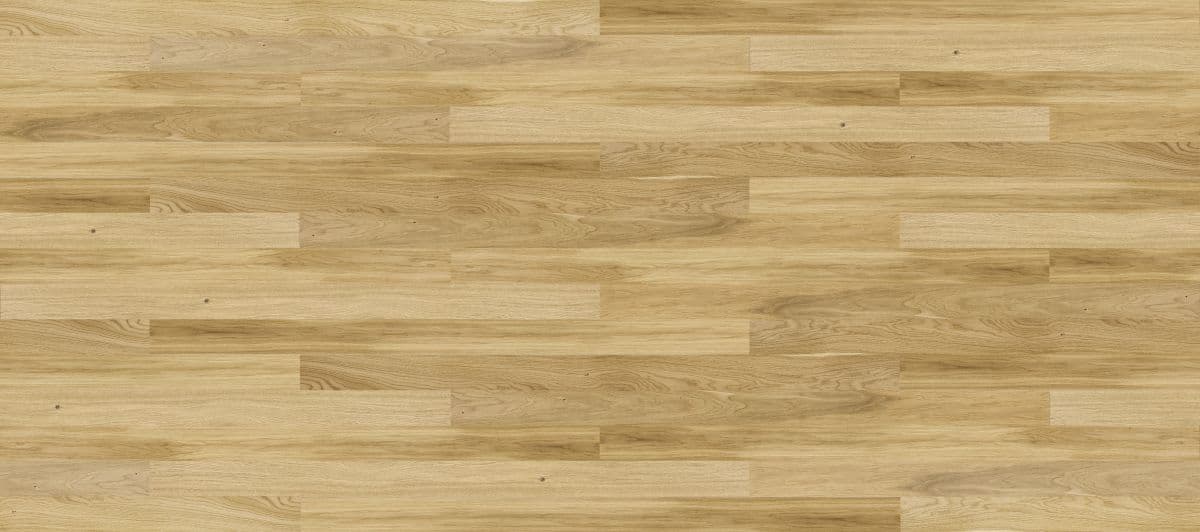 Dąb Askania Piccolo (4400x1950)