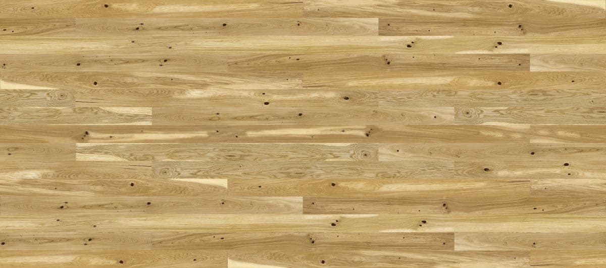 Dąb Conchi Piccolo (4400x1950)