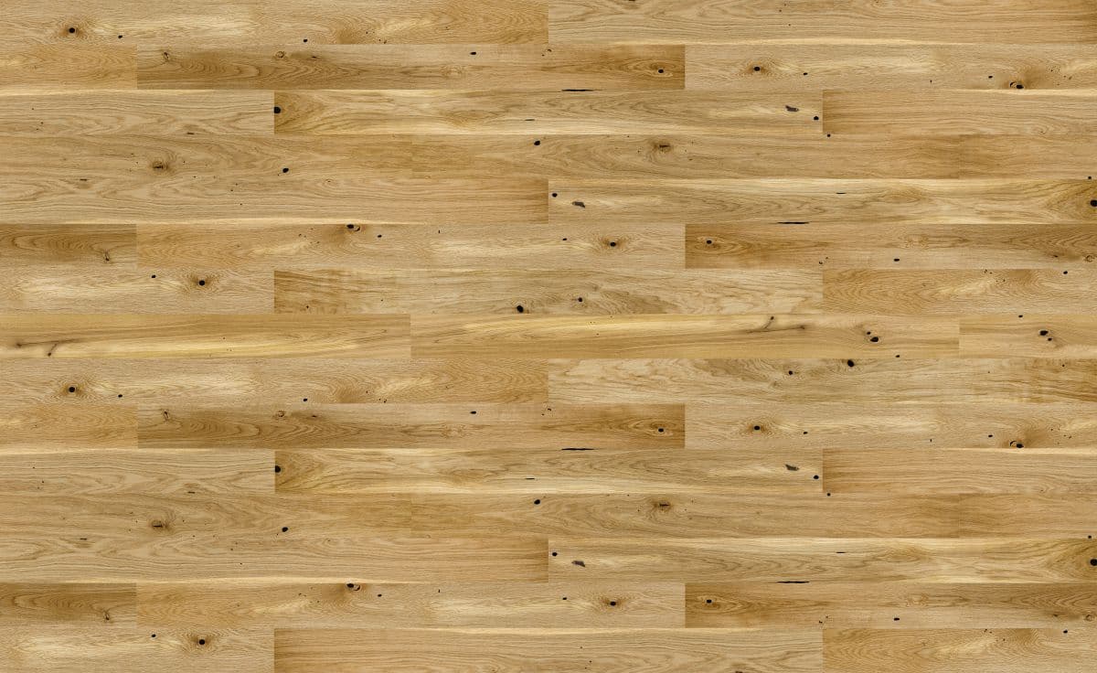 Dąb Raisins Grande (4400x2700)