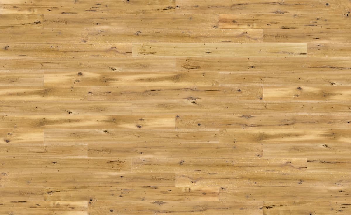 Dąb Calvados Grande (4400x2700)