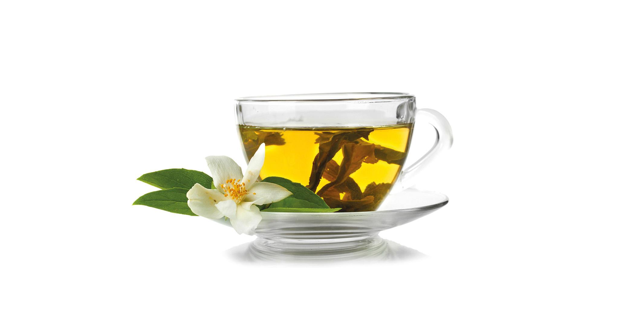 Tea_time_3 DGL-172T3