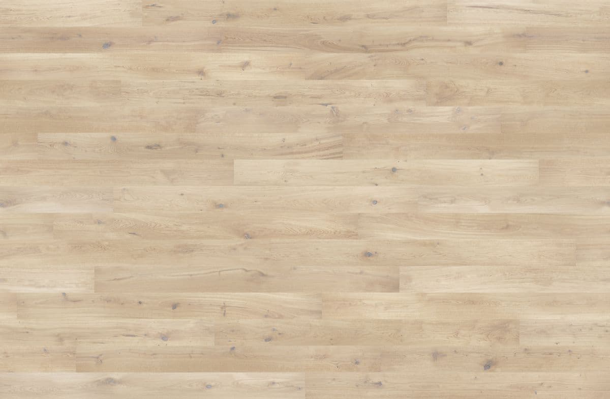 Dąb Sense (4400x2880)