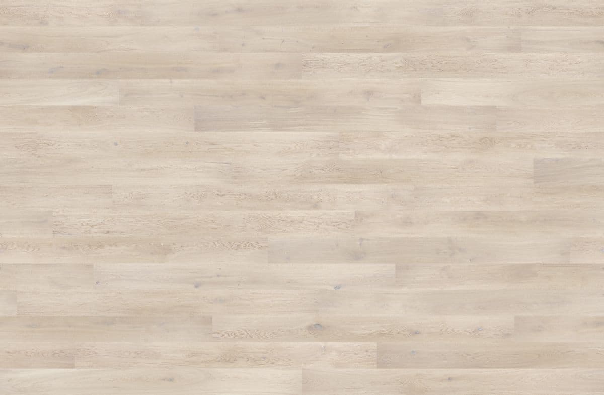 Dąb Tender (4400x2880)