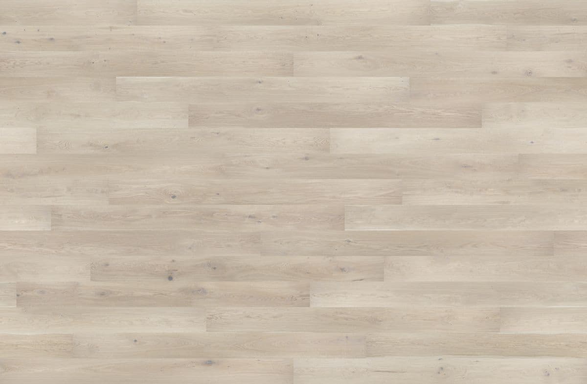 Dąb Touch (4400x2880)