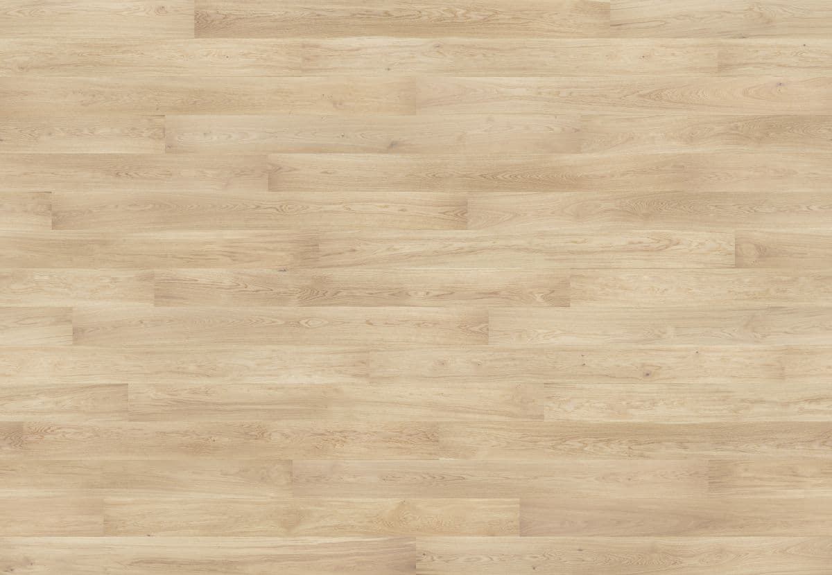 Dąb Harmony (4400x3045)