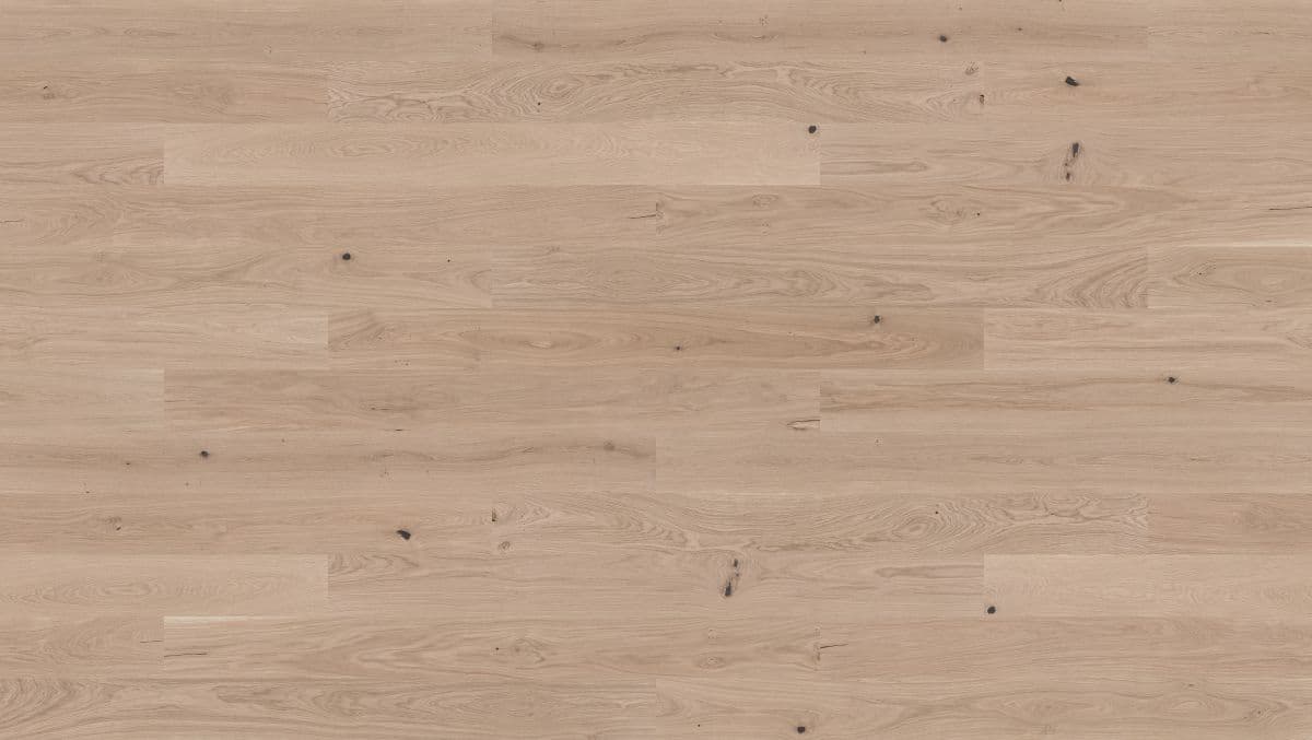 Dąb Delight (4400x2484)