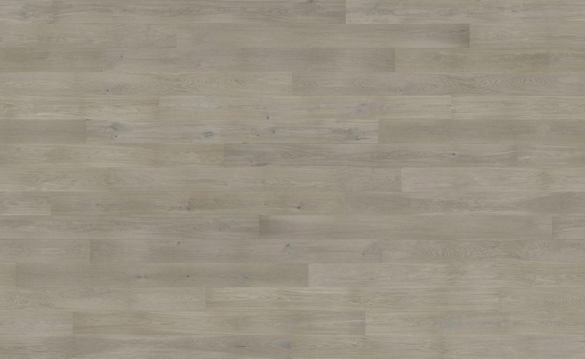 Dąb Marzipan Muffin Grande (4400x2700)