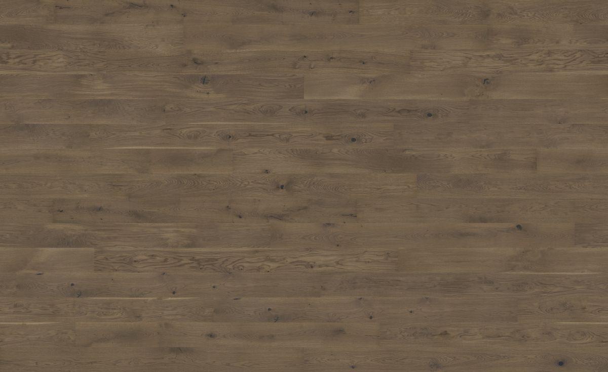 Dąb Toffee Grande (4400x2700)