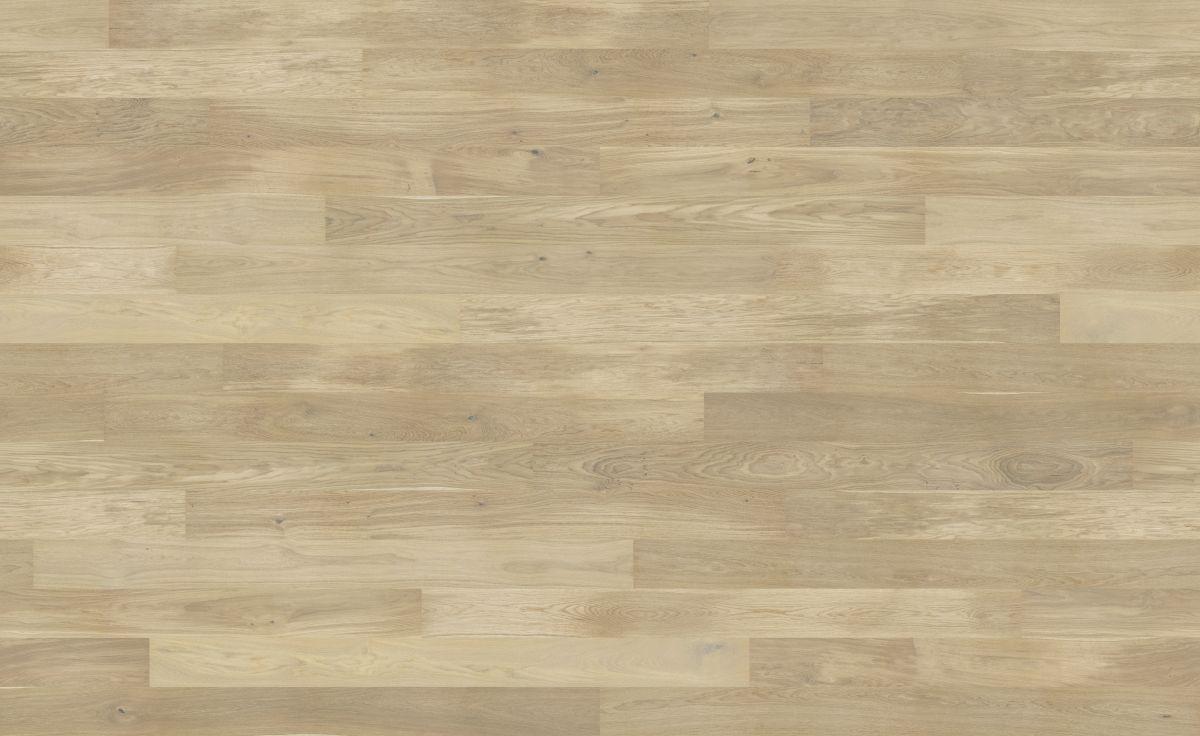 Dąb Cheesecake Grande (4400x2700)