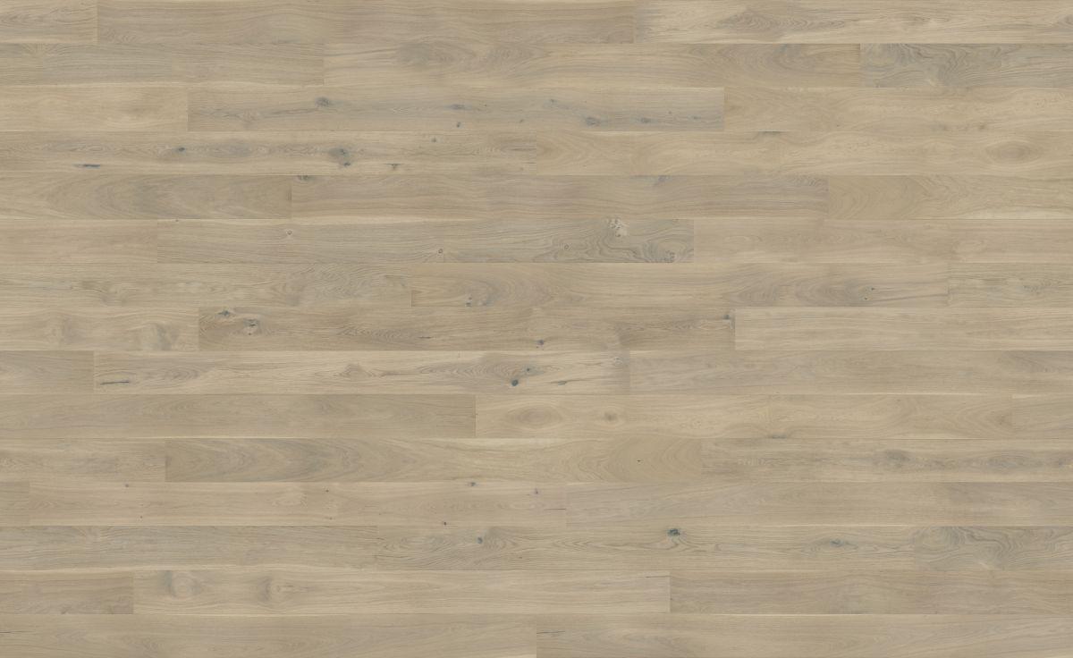 Dąb Banana Song Grande (4400x2700)