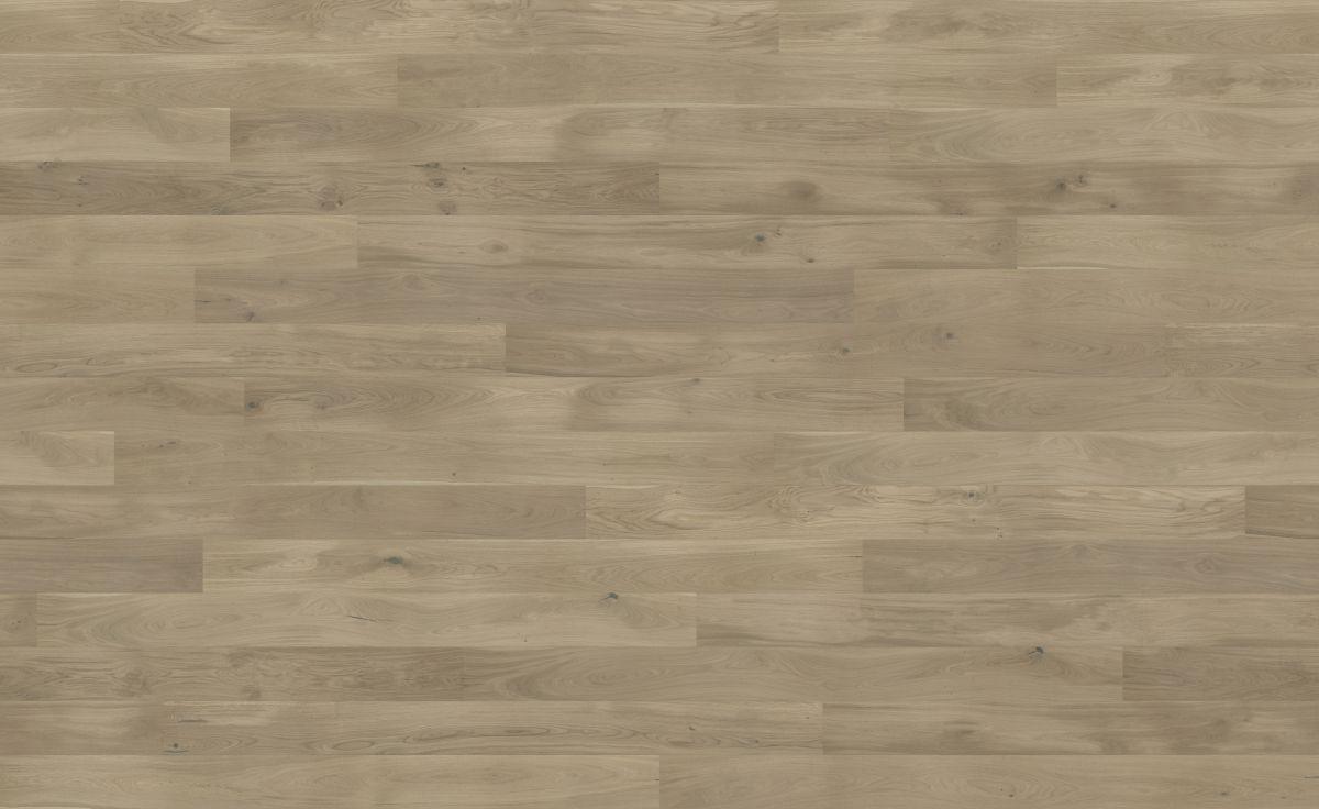 Dąb Biscuits Grande (4400x2700)