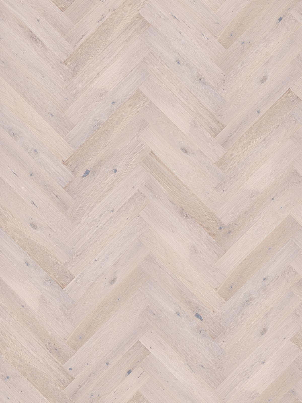 Dąb Cappucino (1867x2489)